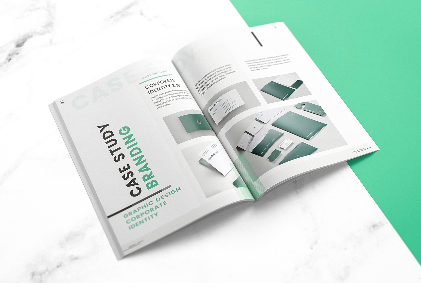 portfolio brochure creative Creative Brochure professional graphic design  print design  brand identity branding  visual identity