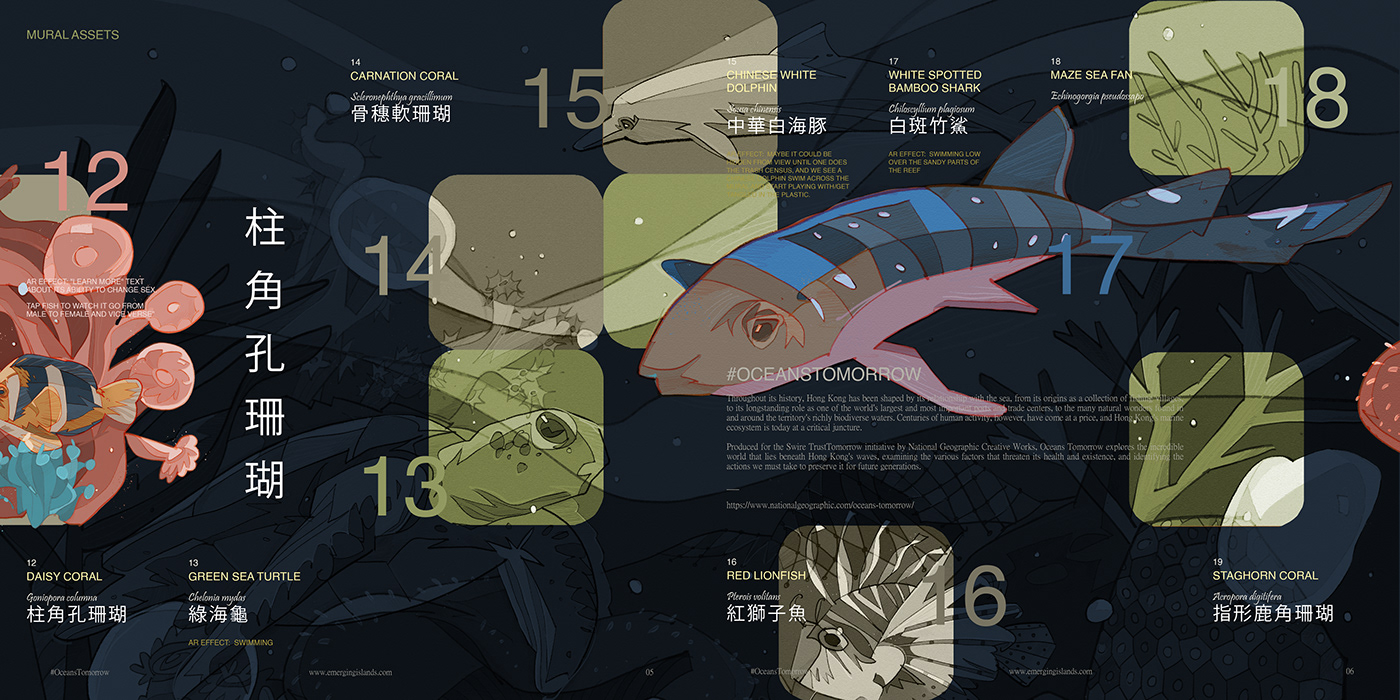 national geographic Ocean underwater fish Mural design Graphic Designer campaign art direction  Marine Biodiversity