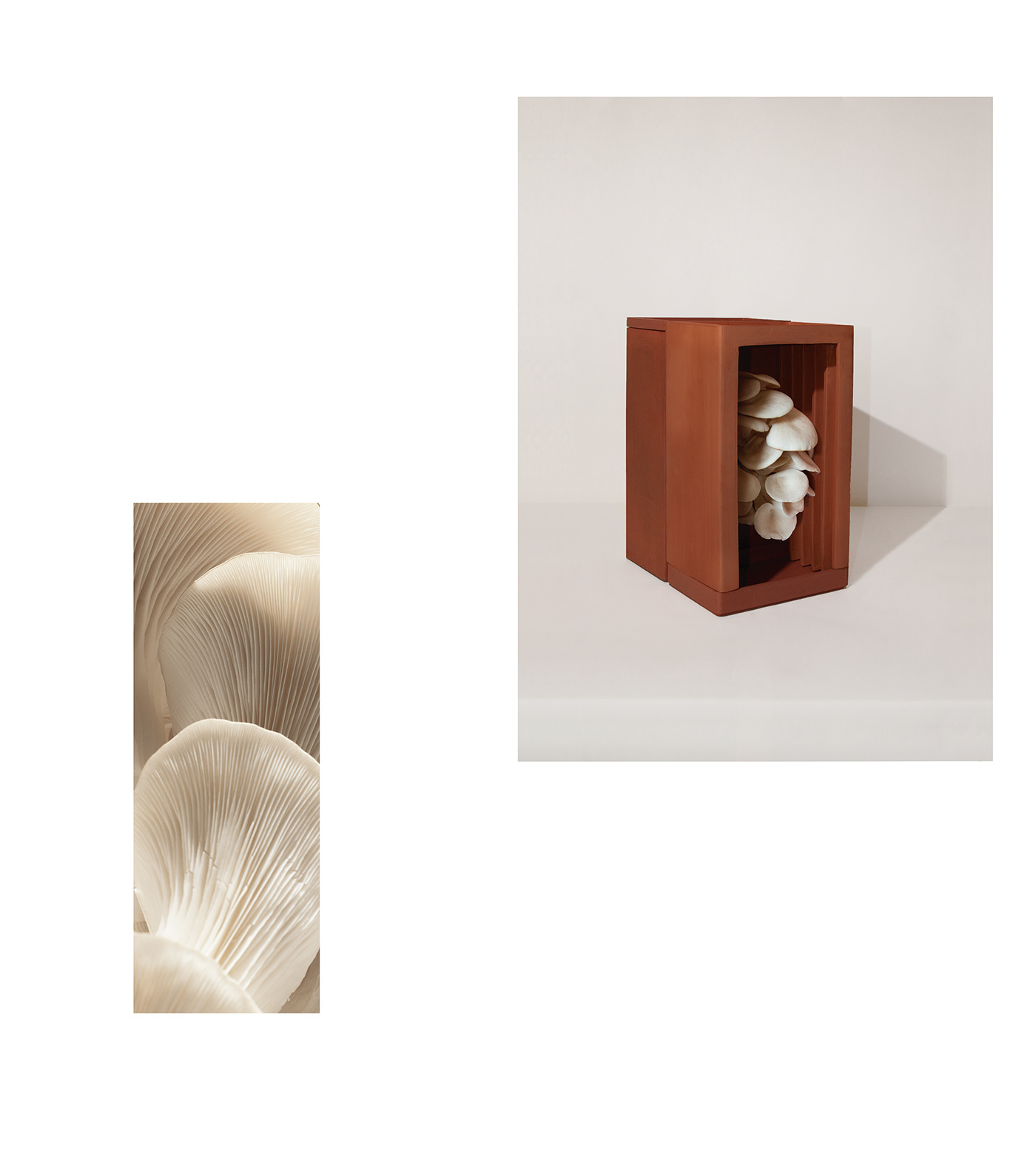 ceramic clay Food  Fungi growing home decor mushroom Pottery product design  Vase