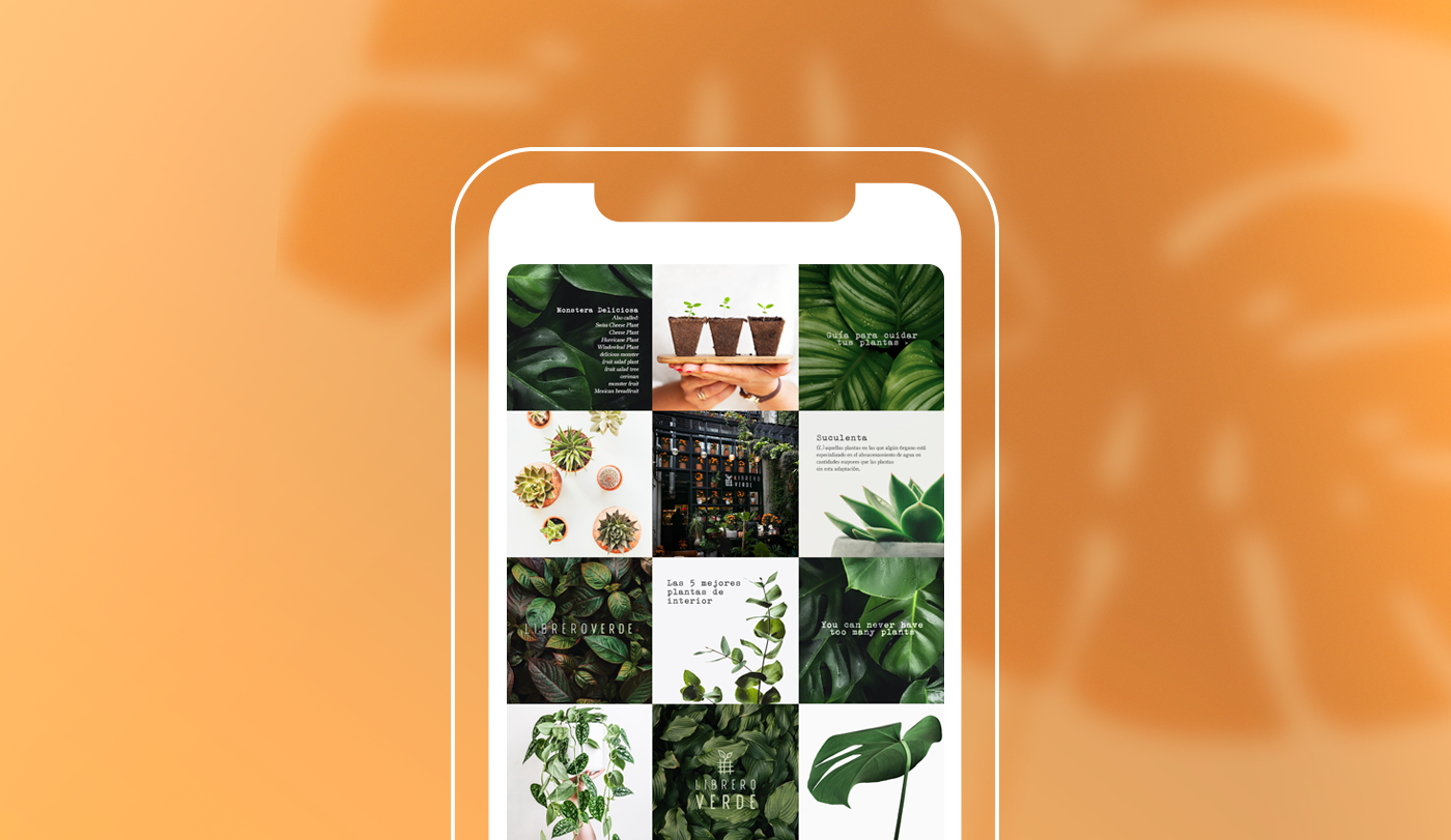 botanical branding  graphic design  logo plants