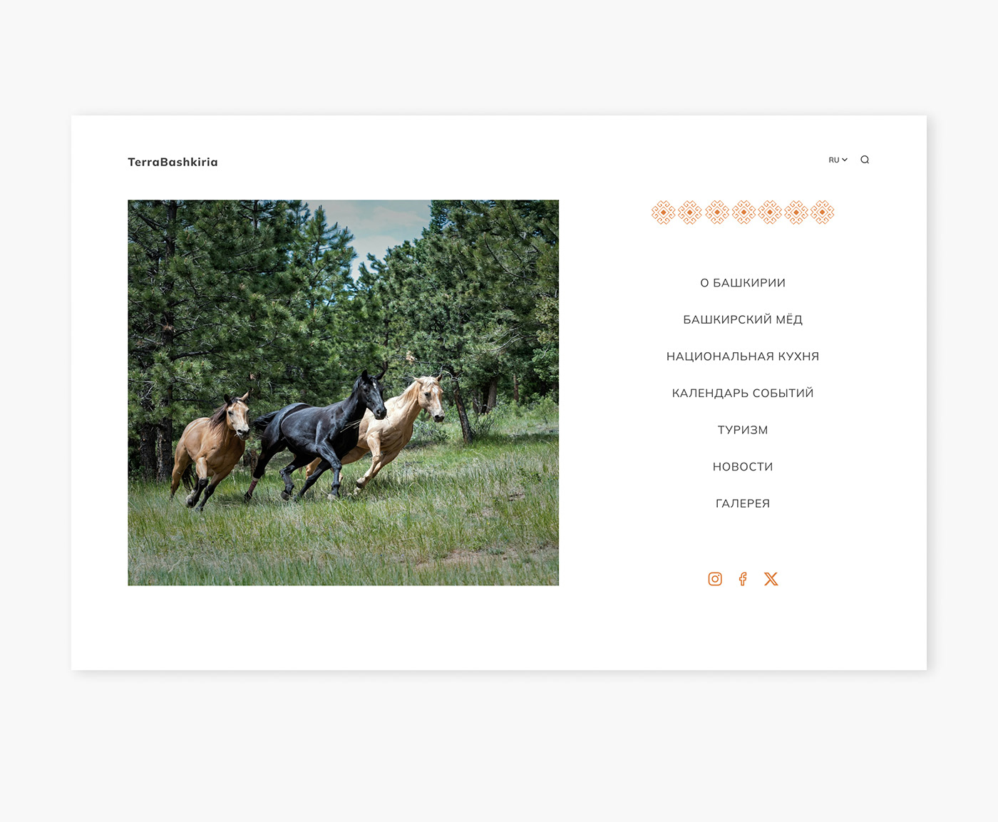 UI/UX Nature Travel design Russia tourism Bashkortostan Minimalism journey horses