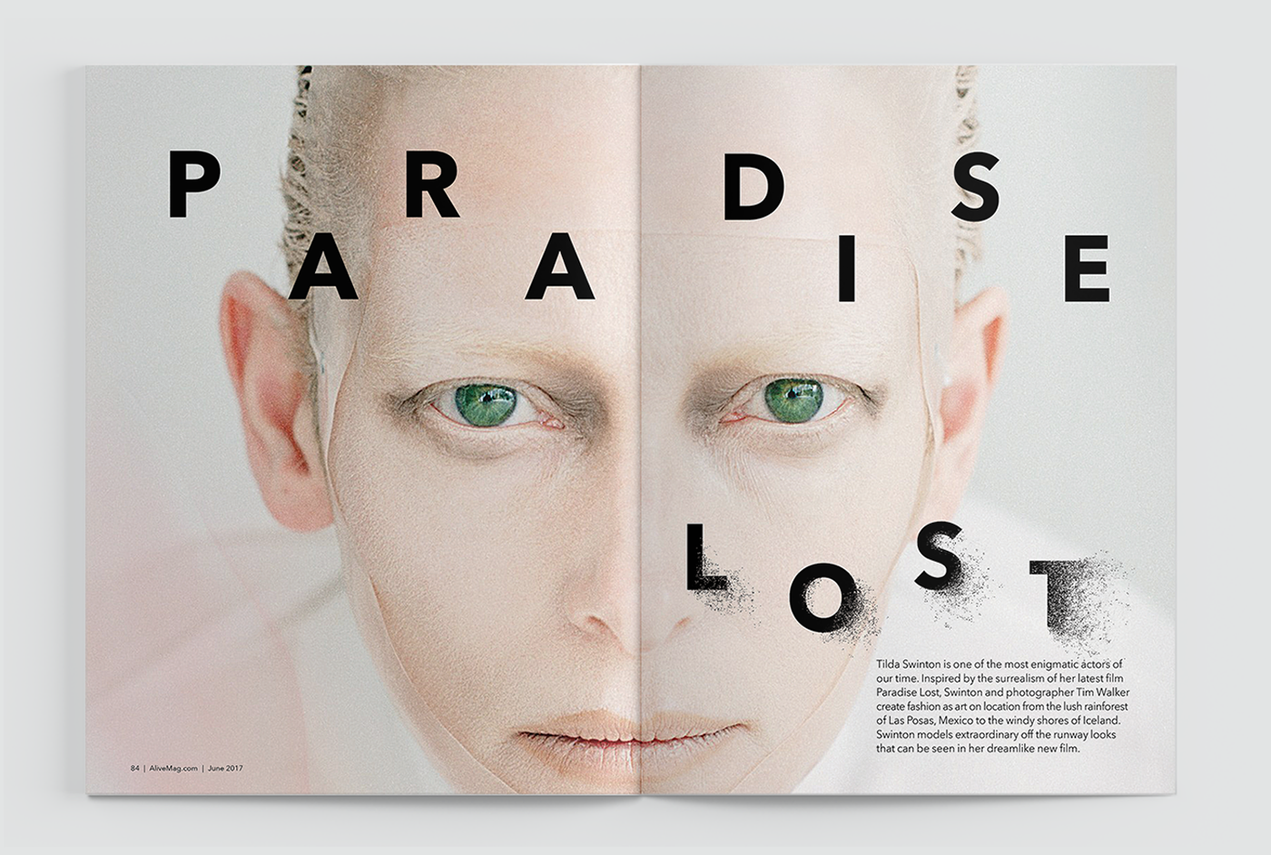 editorial branding  print magazine Advertising  art direction  Creative Direction  identity typography  