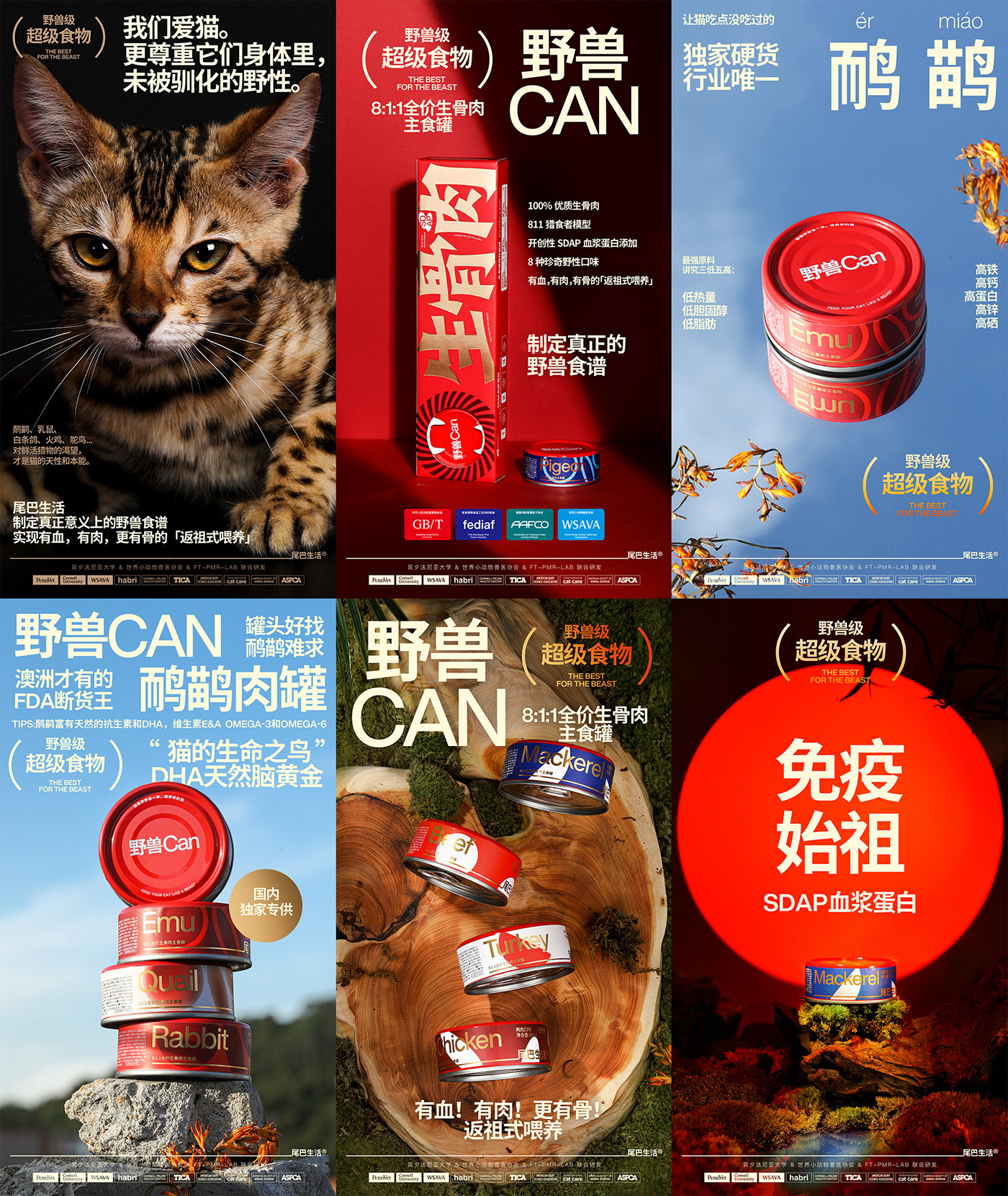 box Cat Food  identity Label package Packaging packaging design Pet tin can