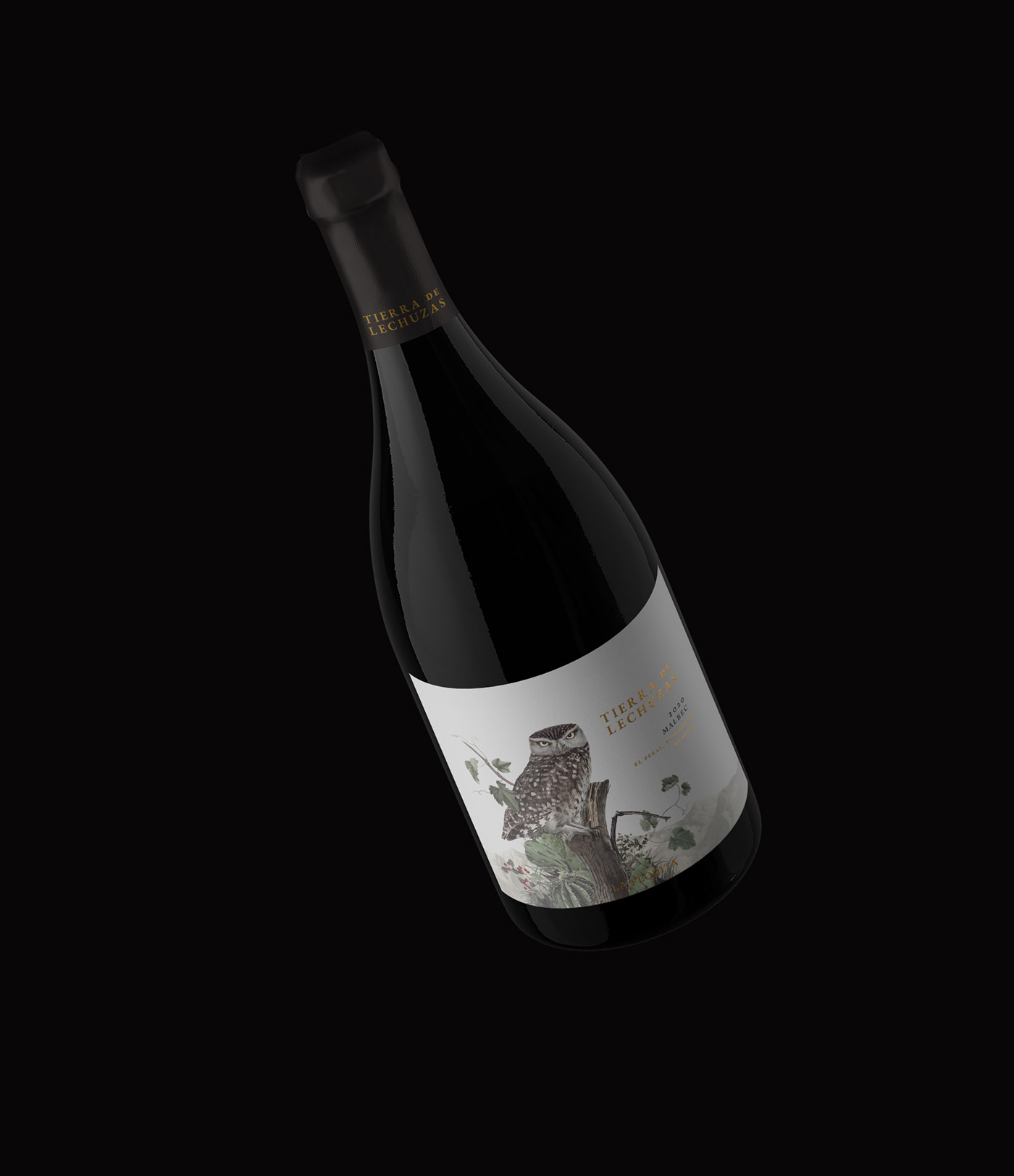 Label label wine lechuza owl Packaging vino wine