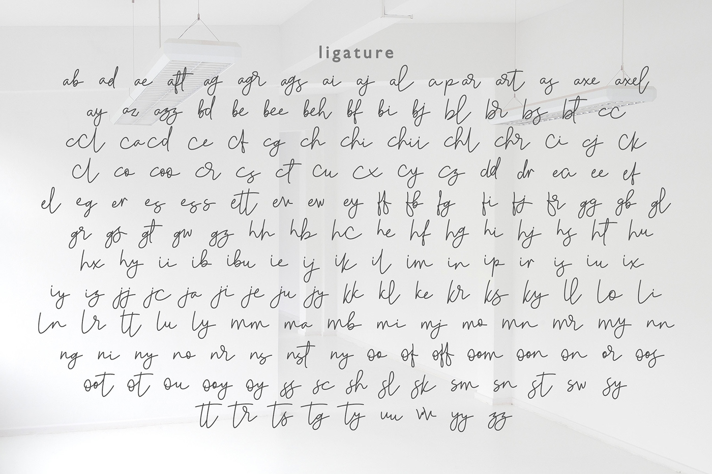 Script caligraphy typography   Typeface signature handwritten monoline graphic design  branding  creative