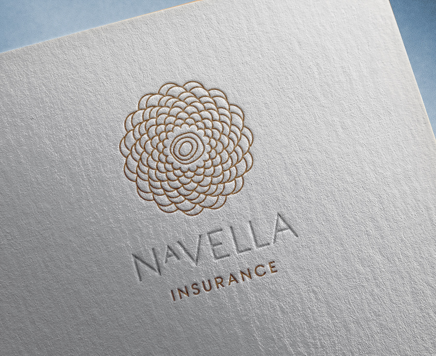 Brand Design brand identity branding  graphic design  insurance Logo Design logo designer logos visual identity