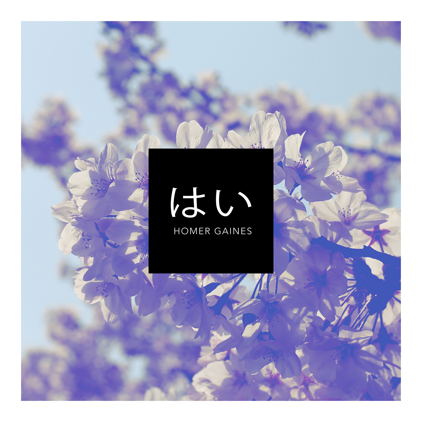 music album cover cd japan japanese sakura kyoto