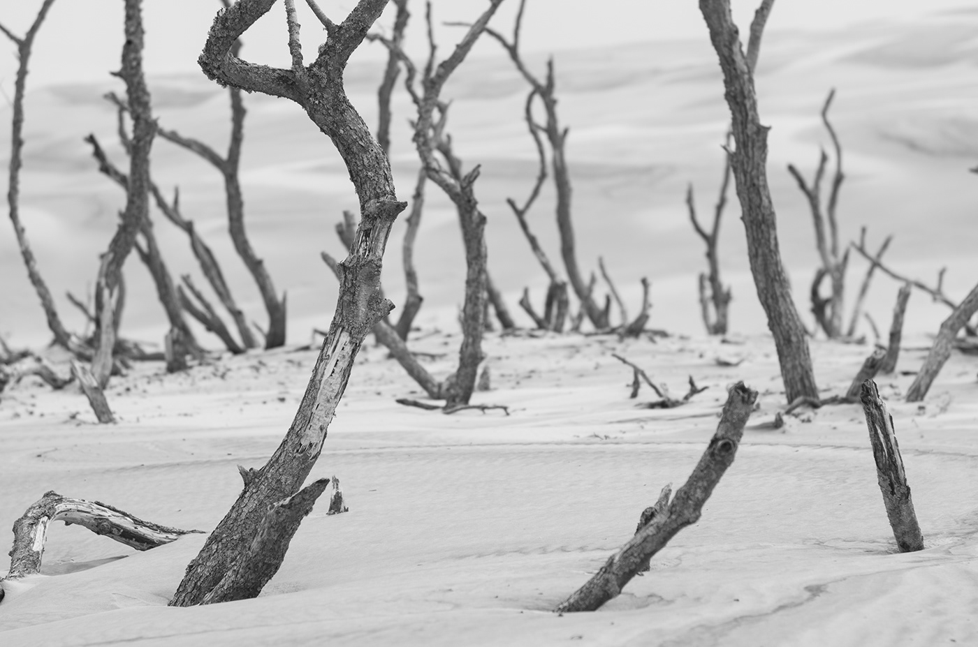 dunes poland sand Seaside blackandwhit b&w sea monochrome seascape