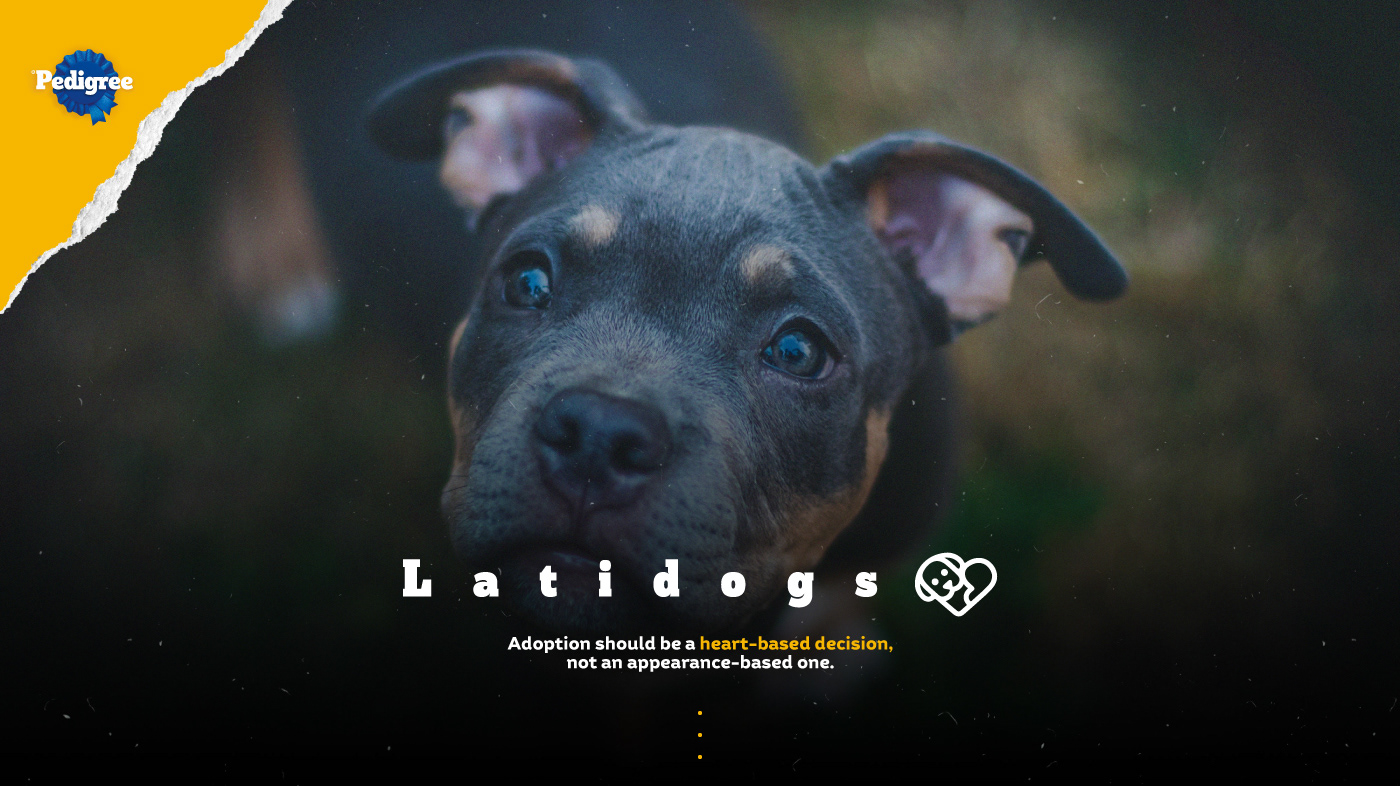 dog dogs pedigree Cannes lions effie Advertising  portfolio