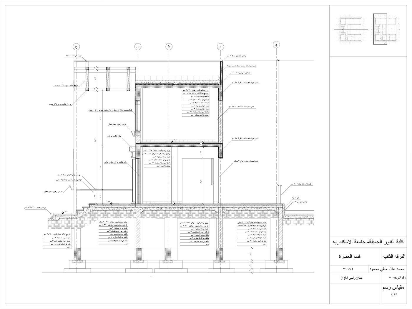 architecture AutoCAD BIM Executive Drawings revit Villa working drawings