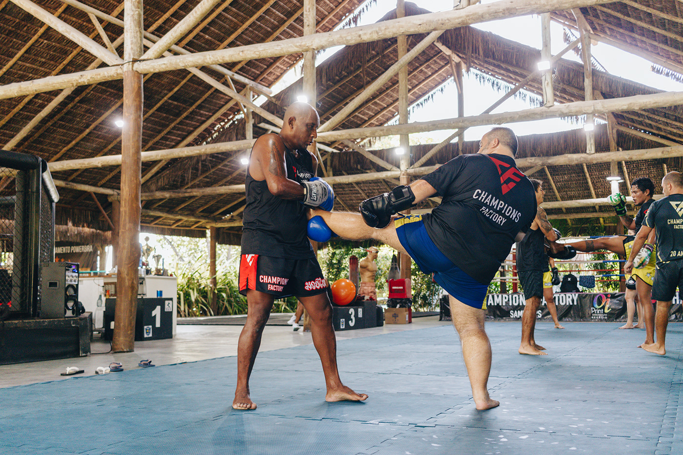 academia arte marcial Boxer Boxing Brazilian jiu jitsu fight marcial arts Martial Arts MMA muay thai