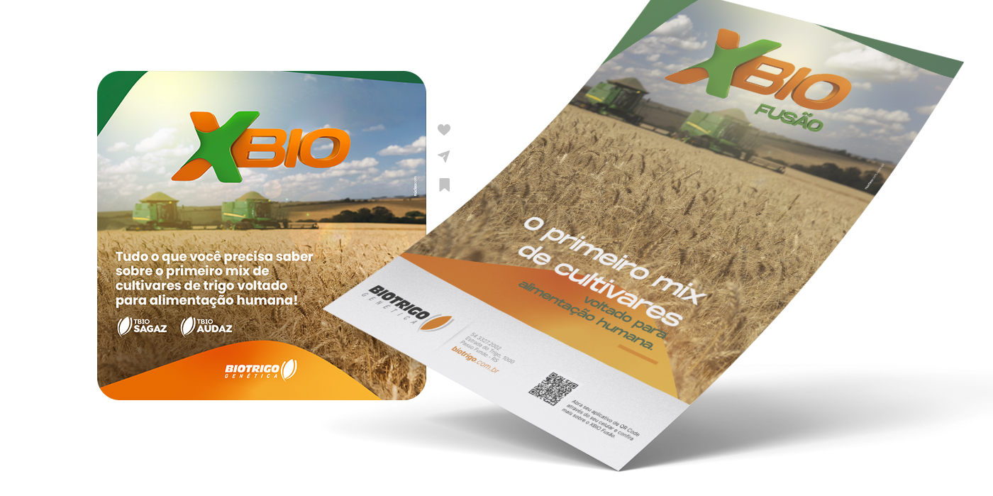 3D agriculture Agro branding  Brasil c4d farm farming trigo wheat