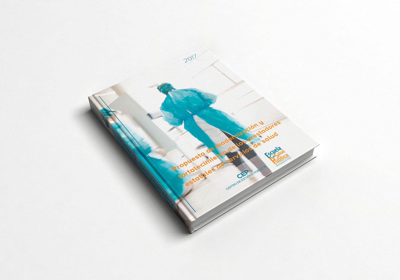 editorial book Layout InDesign graphic design  edditorial design