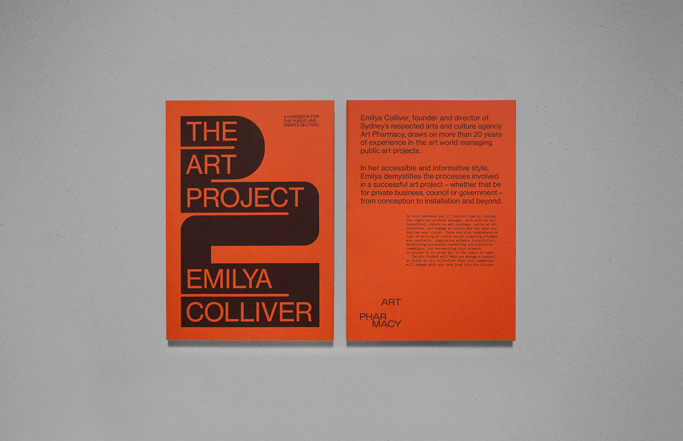 publication publication design book book design editorial Layout