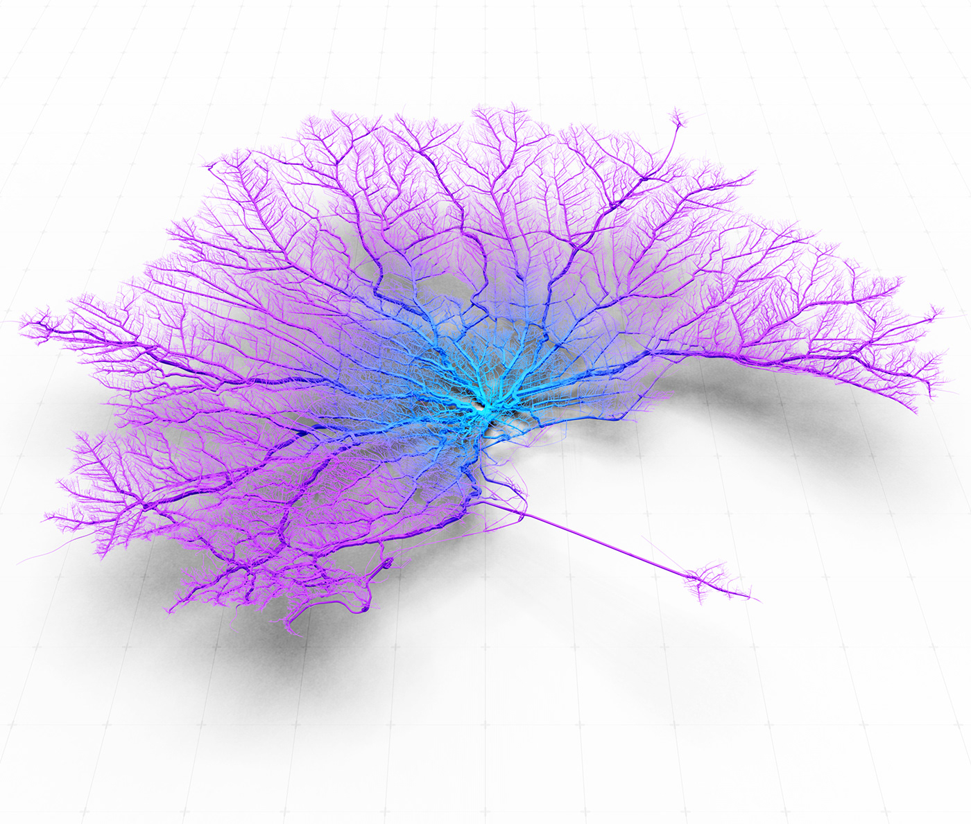 Data animation  dataviz maps Cities coral design visualisation conceptual Analysis