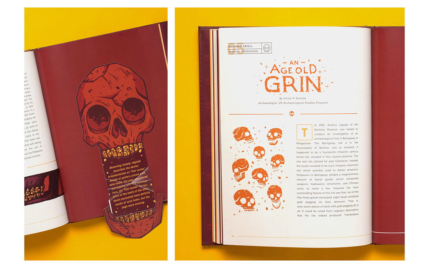 book publication magazine archaeology graphic design  ILLUSTRATION  print Layout skull Education