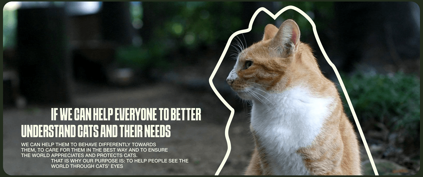 Corporate Design Figma animal shelter pets Cat design uprock ux/ui Web Design 