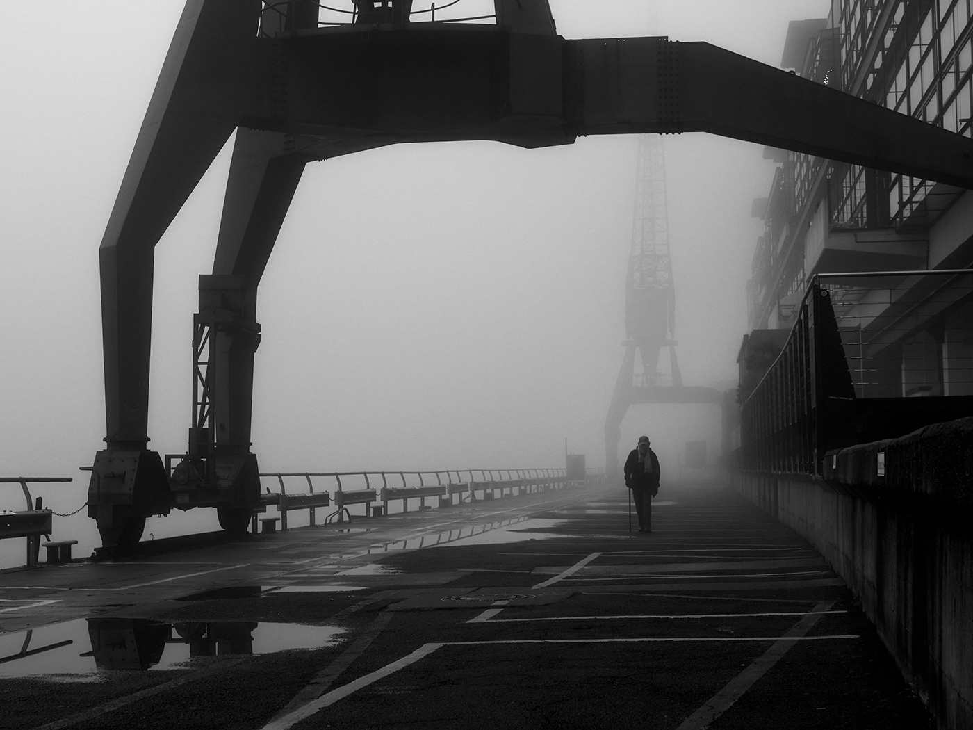 black and white fog hamburg harbour mist monochrome Photography  Street street photography Urban