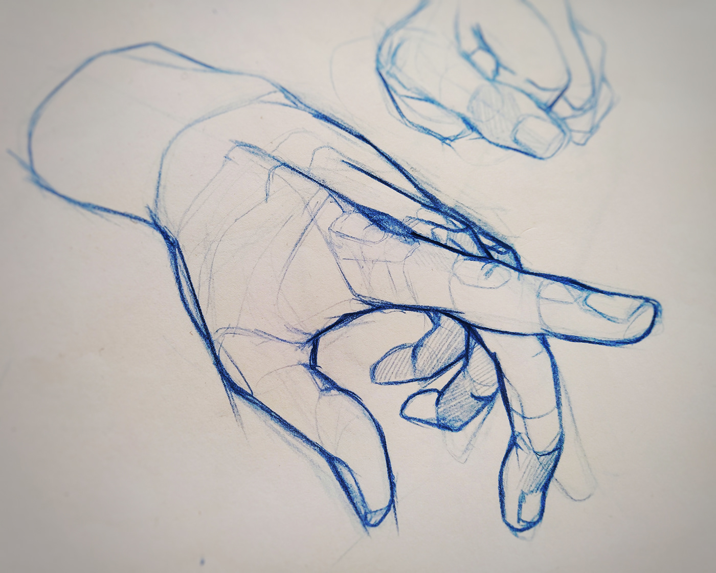 anatomy hands