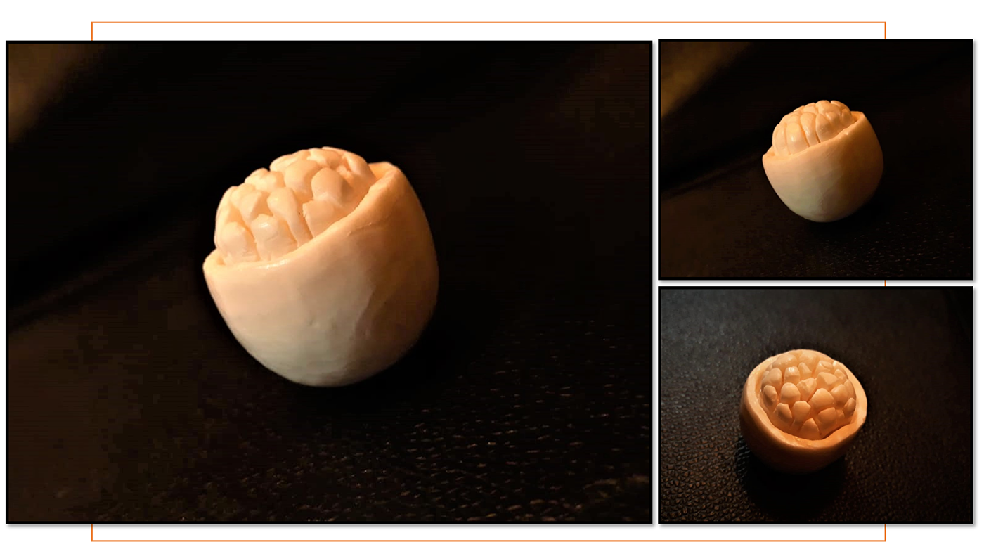 carving form study Forms Soap Carving 