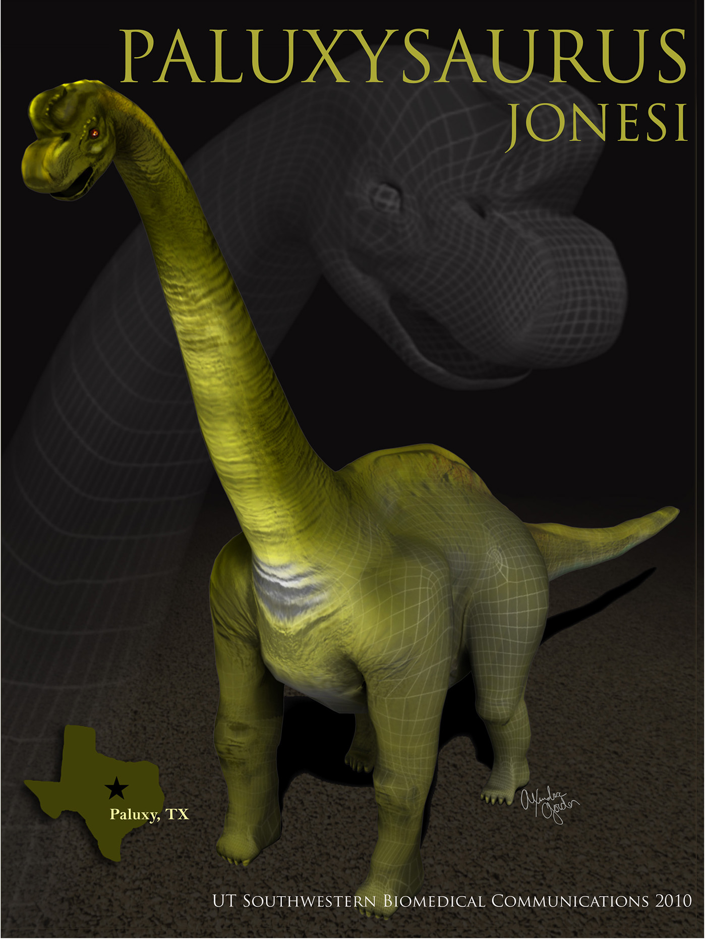 Paluxysaurus jonesi on Behance