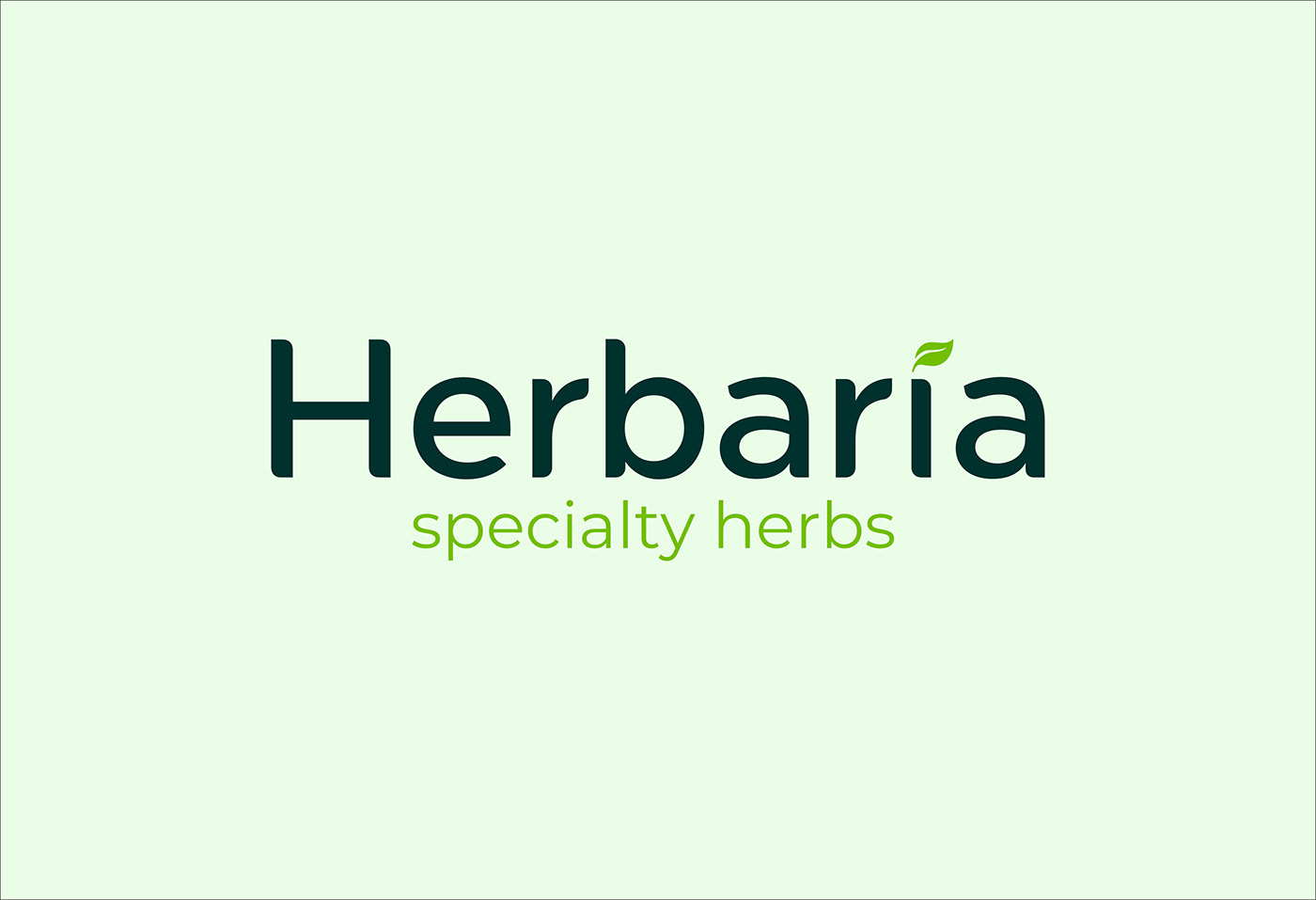 herbal Packaging brand identity Logo Design identity brand Health Pouch Packaging
