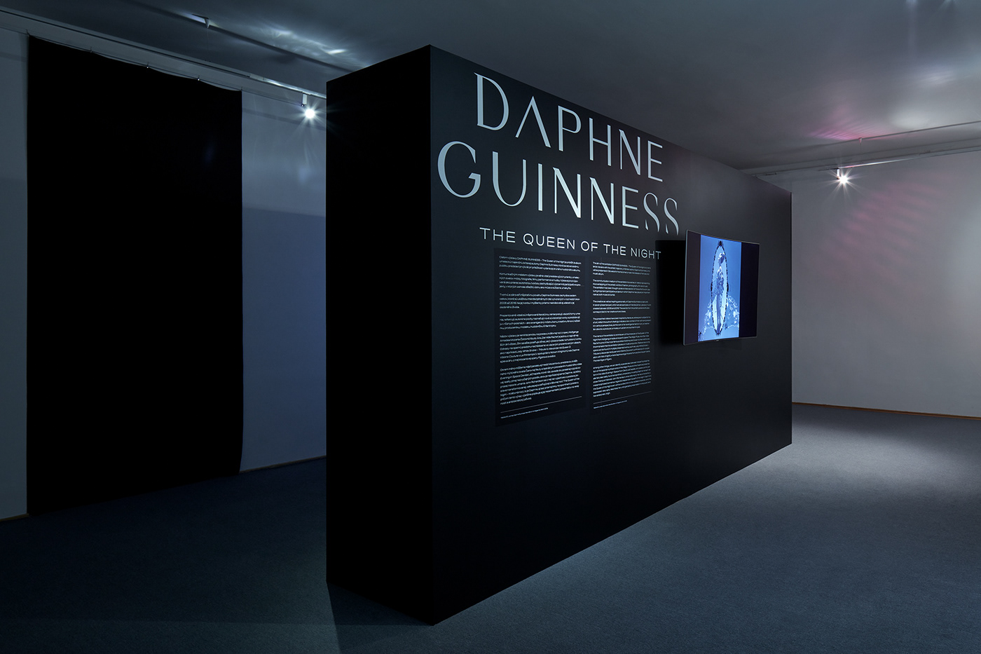 daphne guinness Exhibition  poster typography   Multimedia  black and white