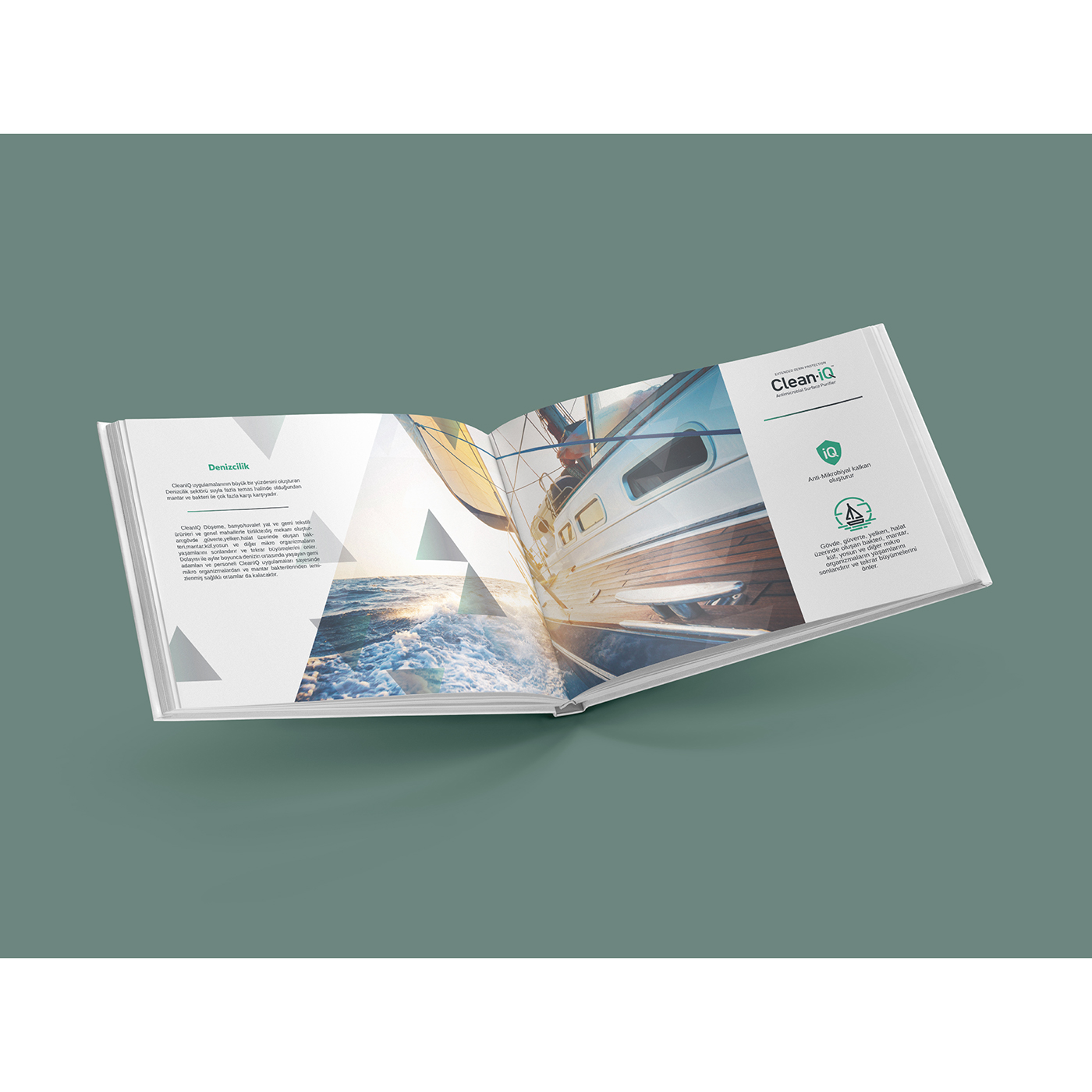 strategic visual id corporate id cleaniq company visual business card brochure cleaning company strategic design Design Management brand management