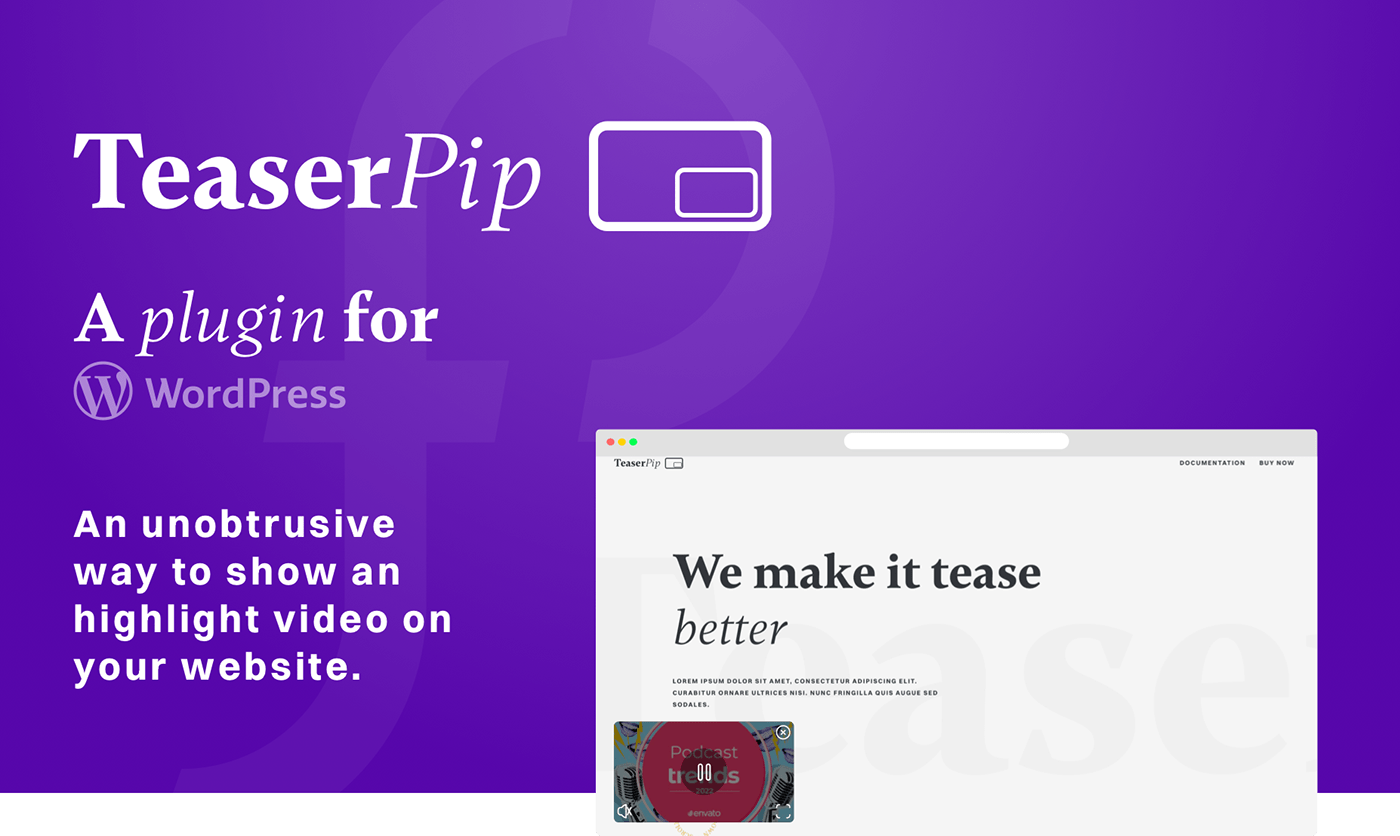 css Display plugin teaser video worpress