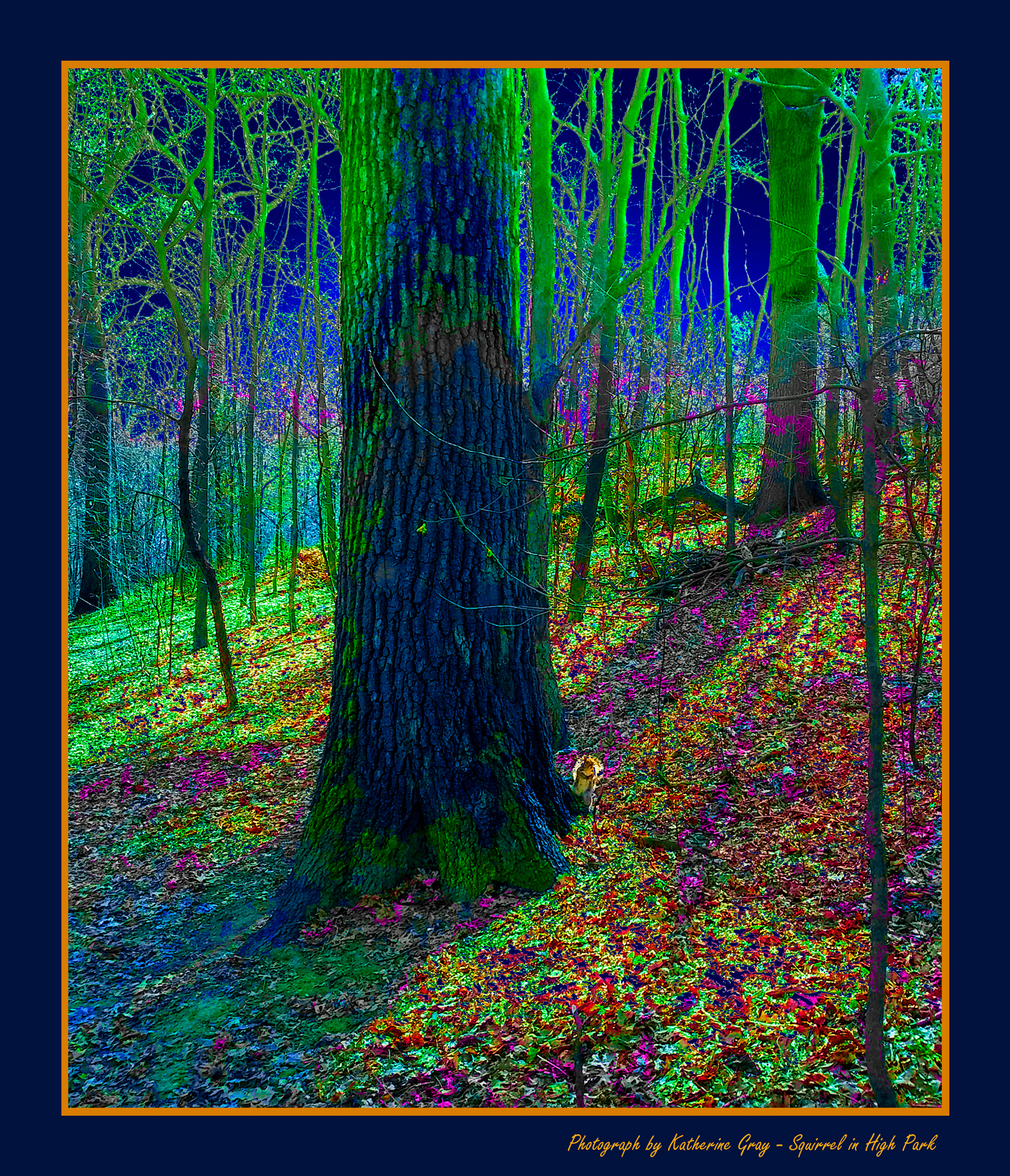 forest opalescent Landscape colorful dramatic trees sunset twilight shadow psychedelic