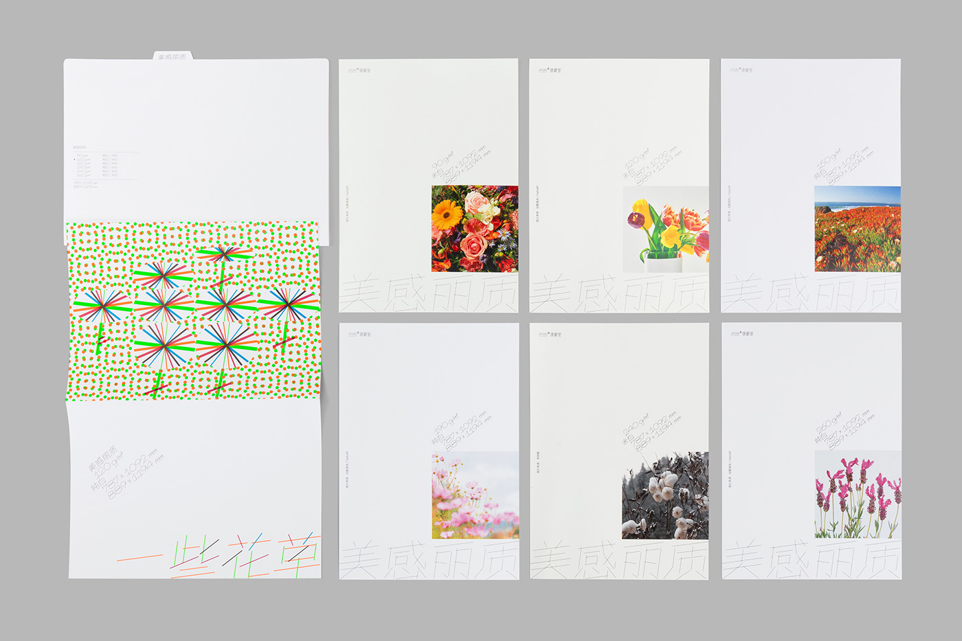 Booklet catalog graphic design  graphics package Packaging paper papersample pattern typography  