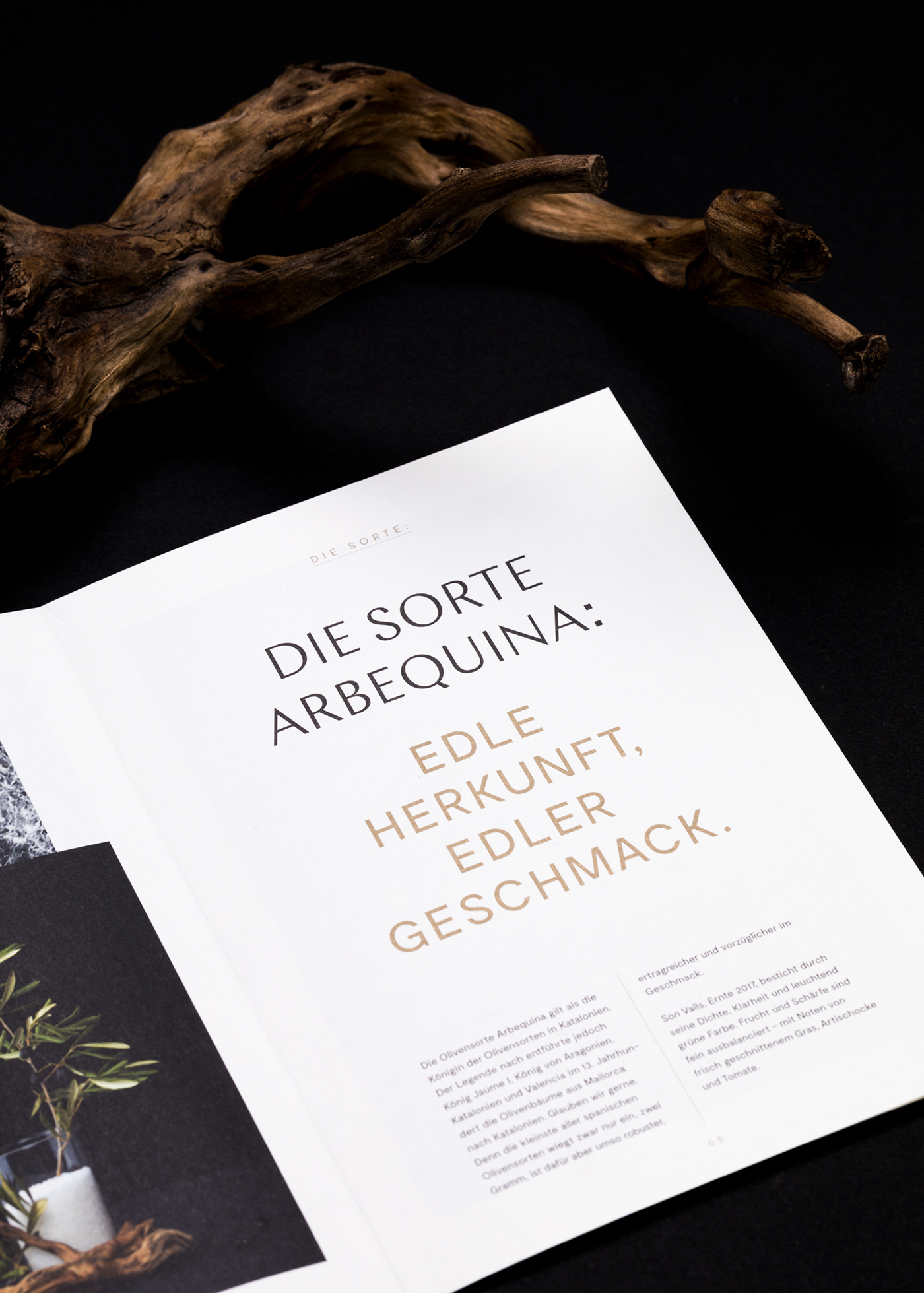 mallorca arbequina Porreres essence brochure Packaging olive oil