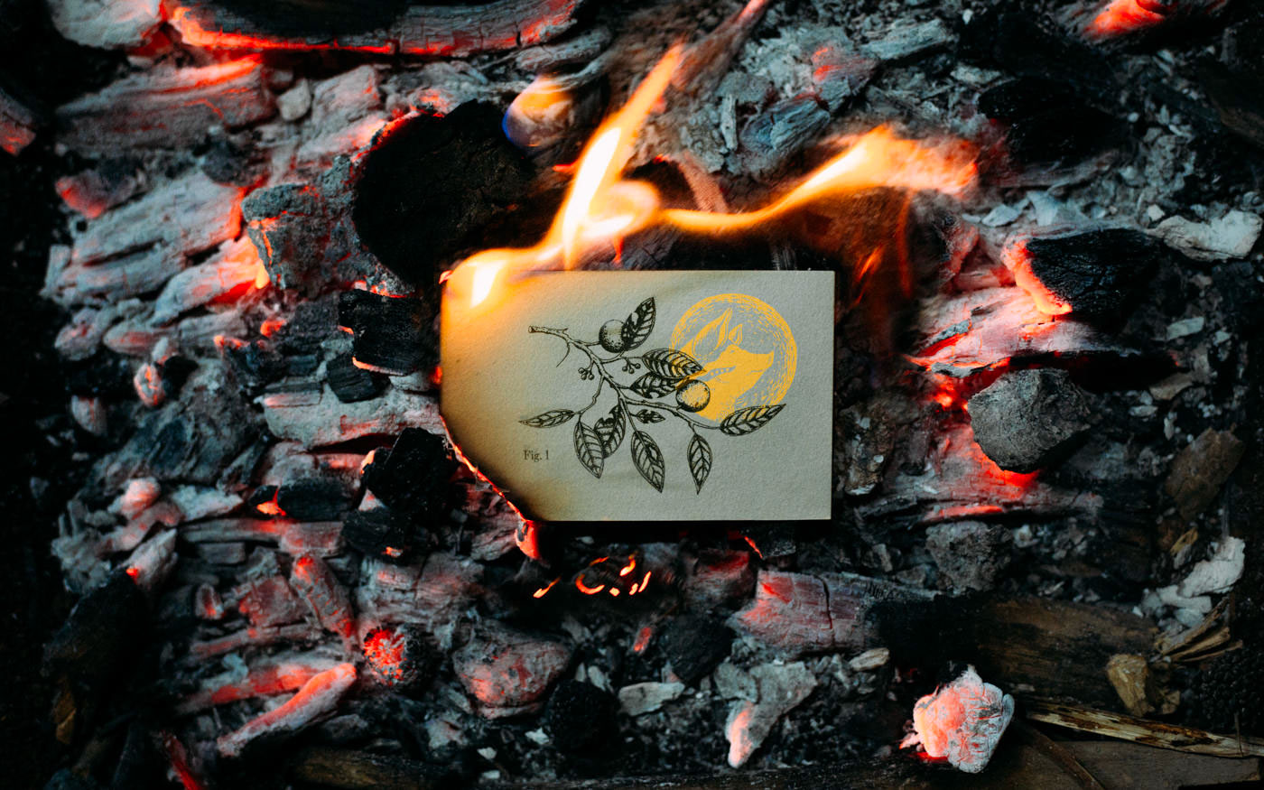 mexico mérida yucatán package branding  Food  cochinita fire oven