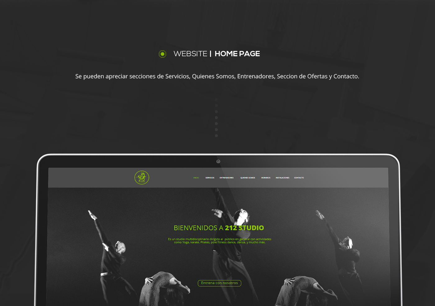 graphic design interfaz user Experience Web movil brand panama venezuela studio Yoga Pole DANCE   karate