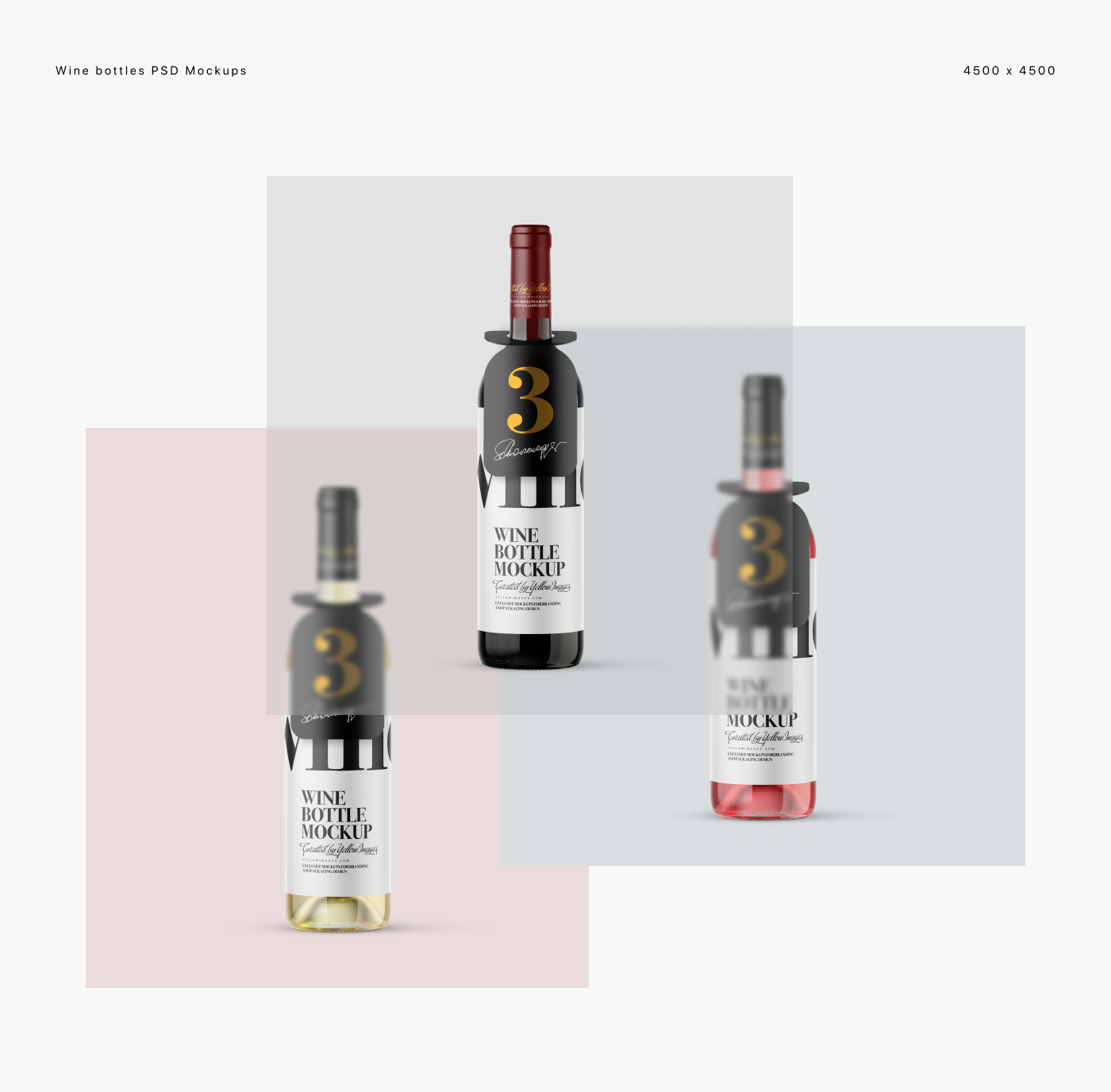 3D bottlemockup branding  Labeldesign Mockup Pack package packagedesign visualization wine