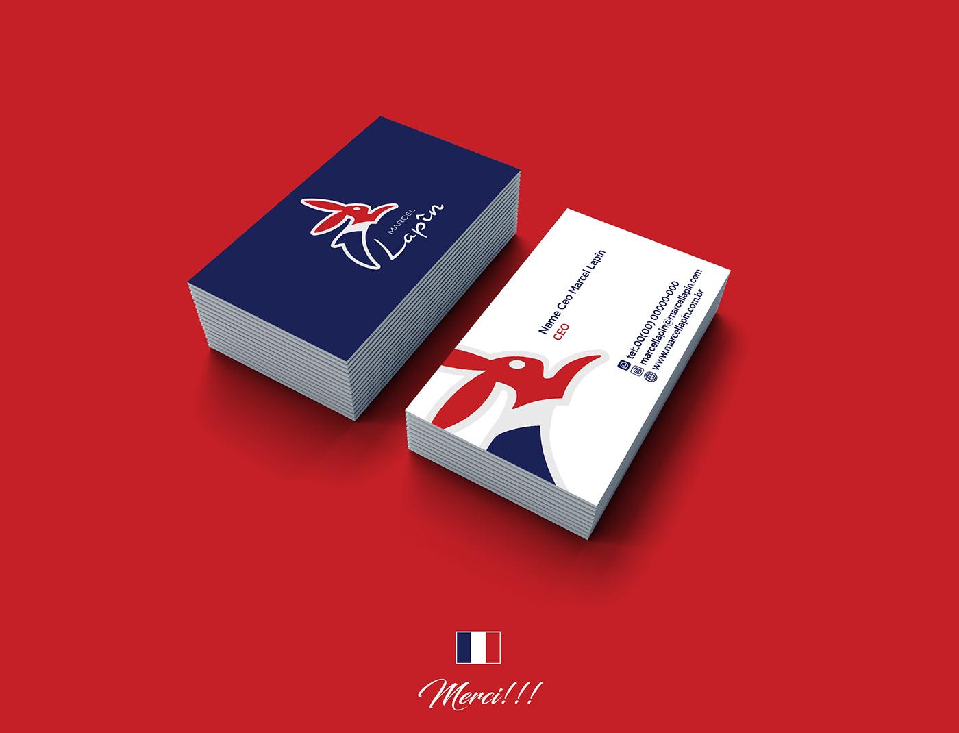 branding  France logo graphic design  lapin logo Logotype sports sports brand Sports logo venturini