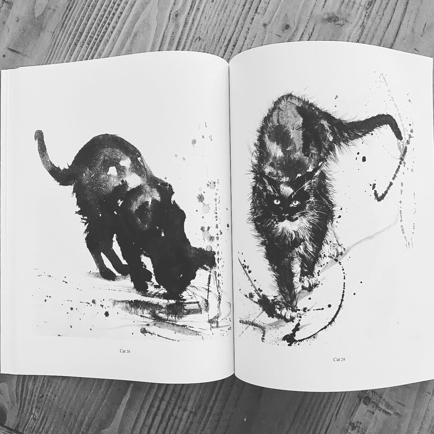 Anita Yan Wong art book Asian American asian art asian cat painting cat art ink ink kittens cat art book feline painting
