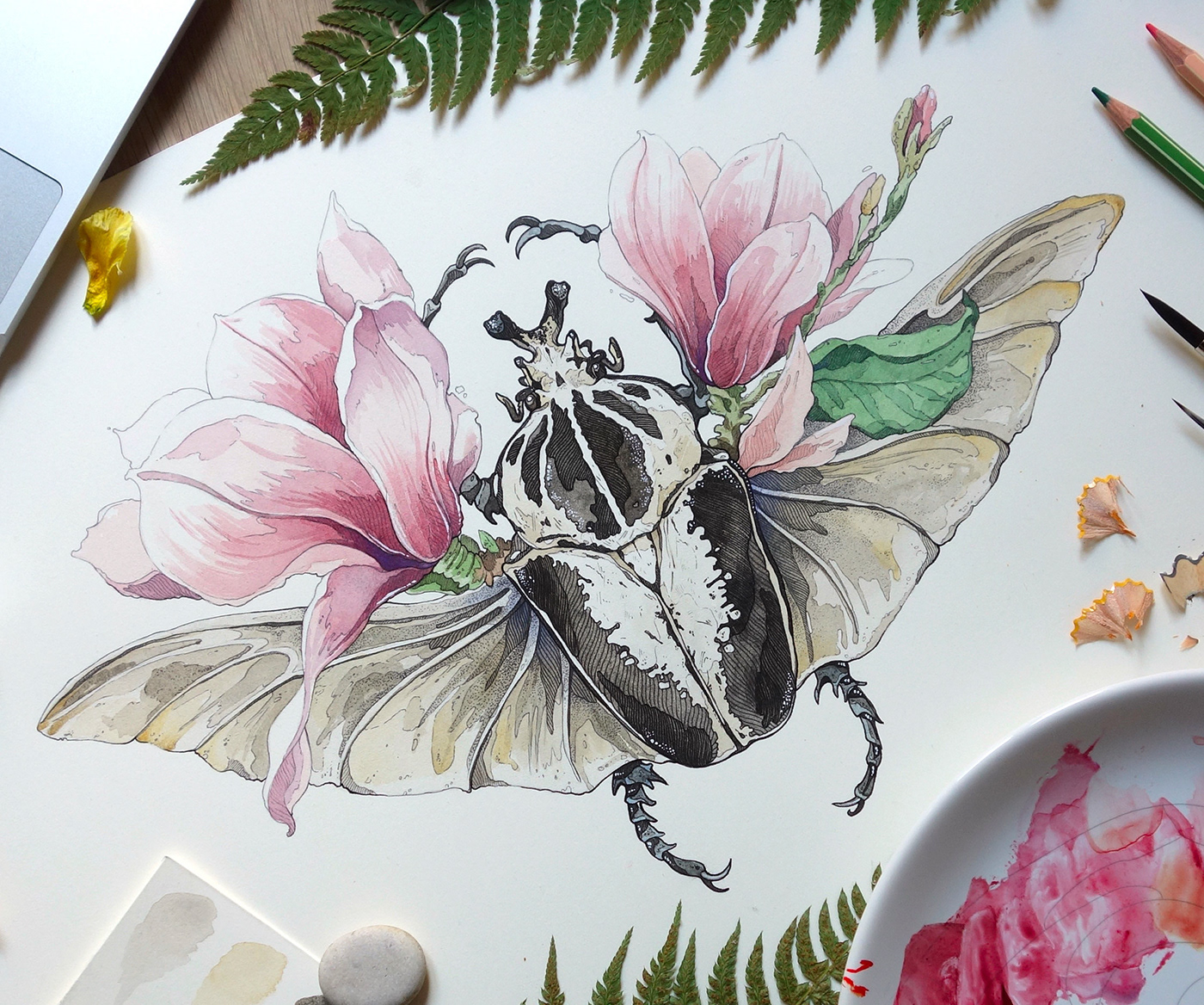 animal art artwork beetles Drawing  ILLUSTRATION  ink drawing Insects line art TRADITIONAL ART watercolor