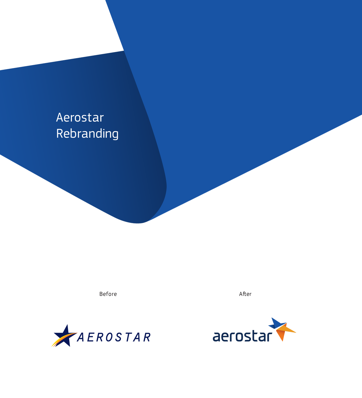aerostar  broker airplane  Aero  star aviation  Travel brand  corporate  experience Dynamic charter Logo Design brand identity Flying