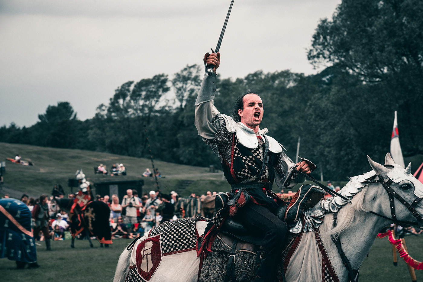 Castle jousting knight medieval Photography 
