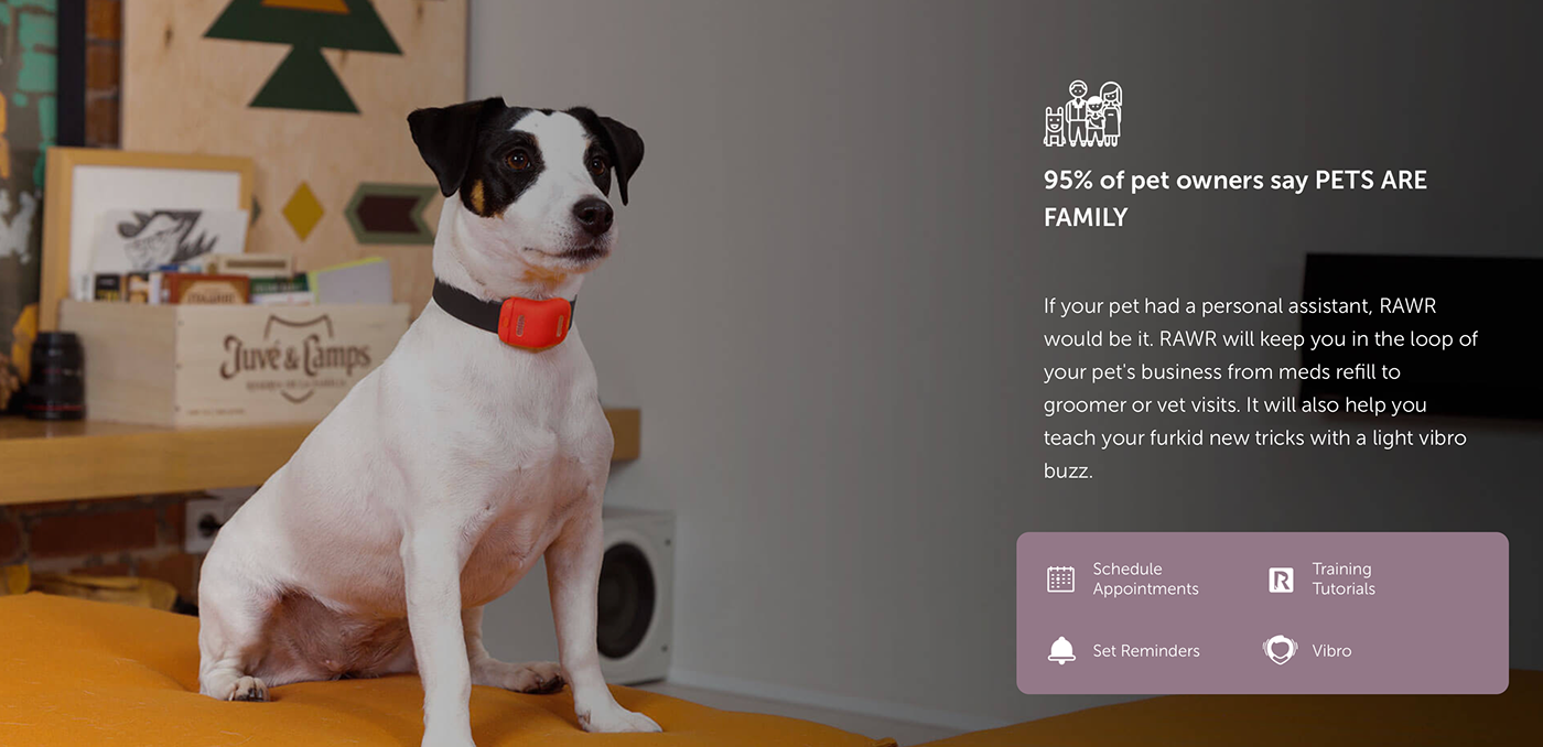collar gps Wearable IoT Pet dog dogs activity customisable tracker
