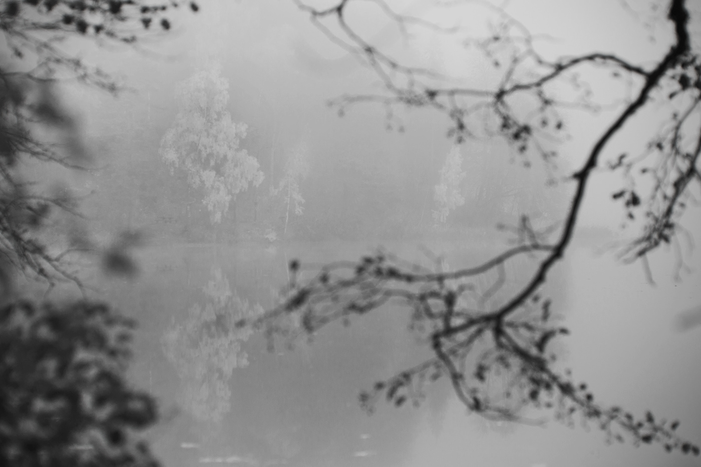 black and white fog lietuva lithuania Mindaugas Buivydas mist Photography 