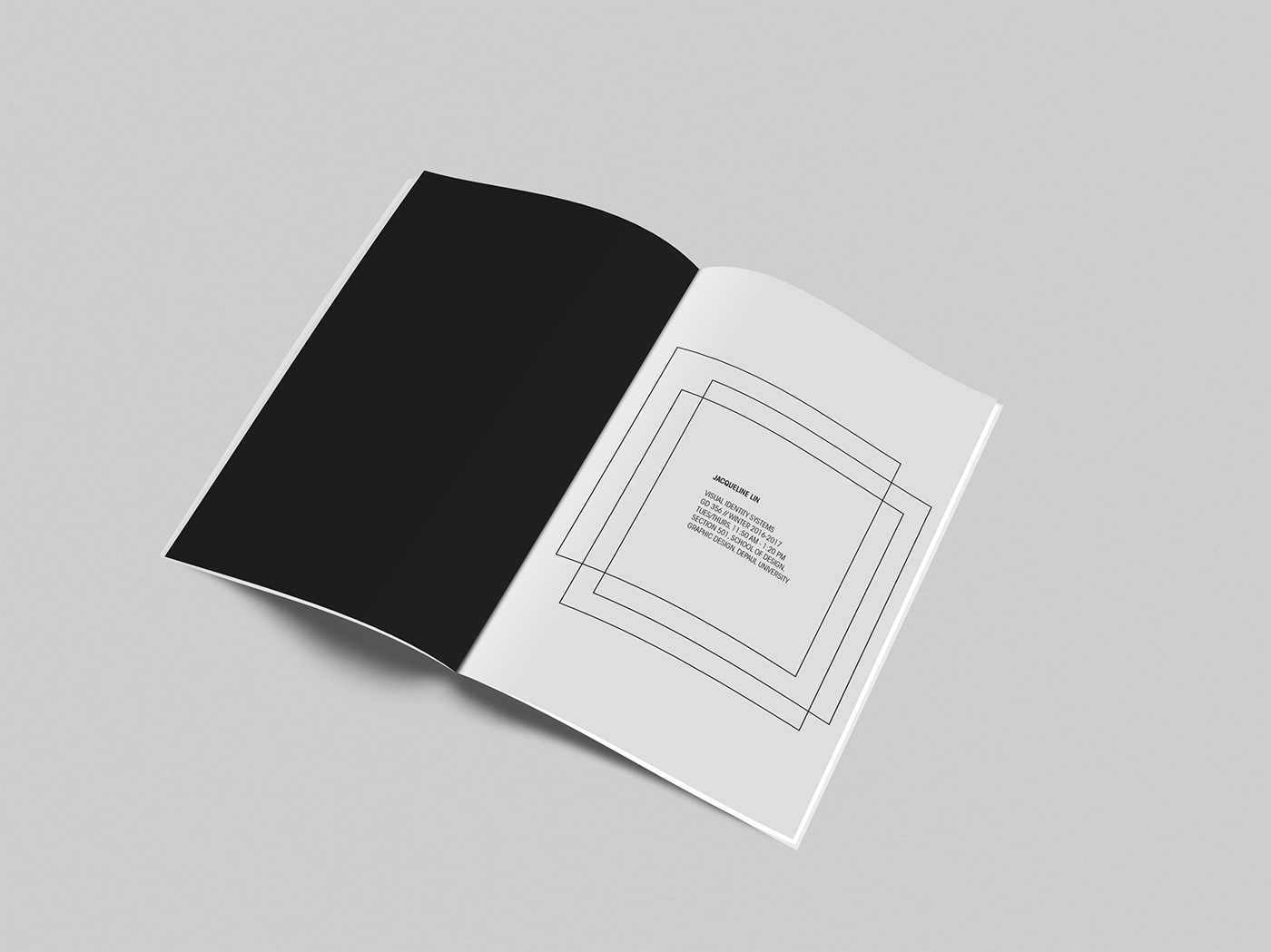 Adobe Portfolio graphicdesign ILLUSTRATION  book marks visualidentity brand research logo