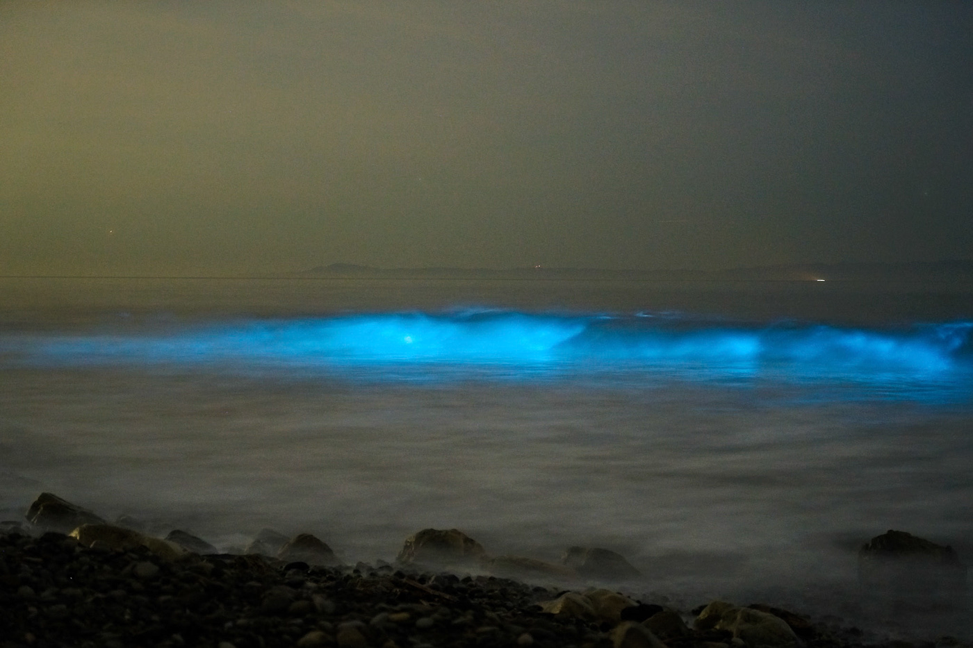 bioluminescence Landscape long exposure Nature neon night photography Photography  sonyalpha