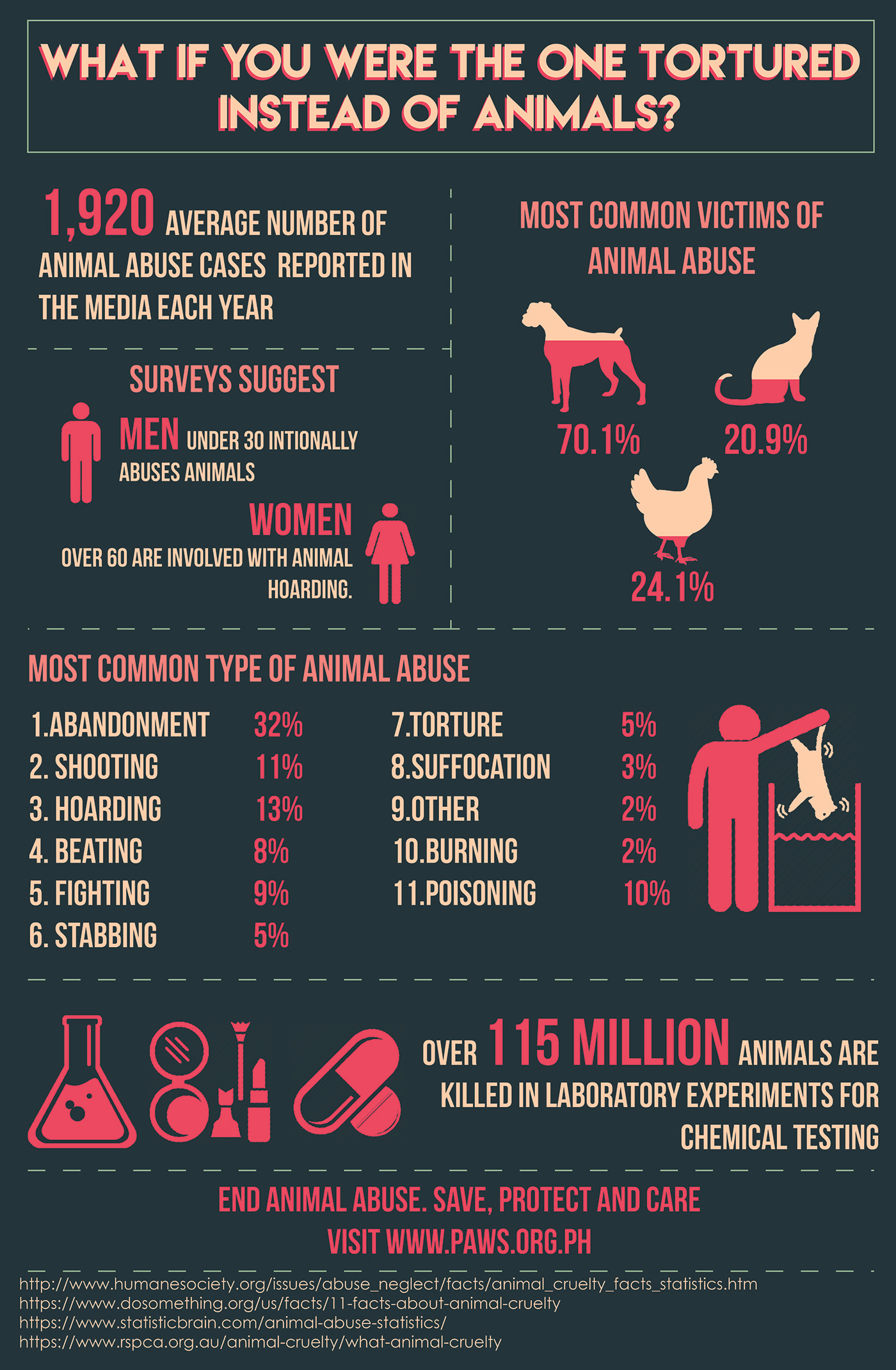 animal design graphic design  infographics percentage statistics