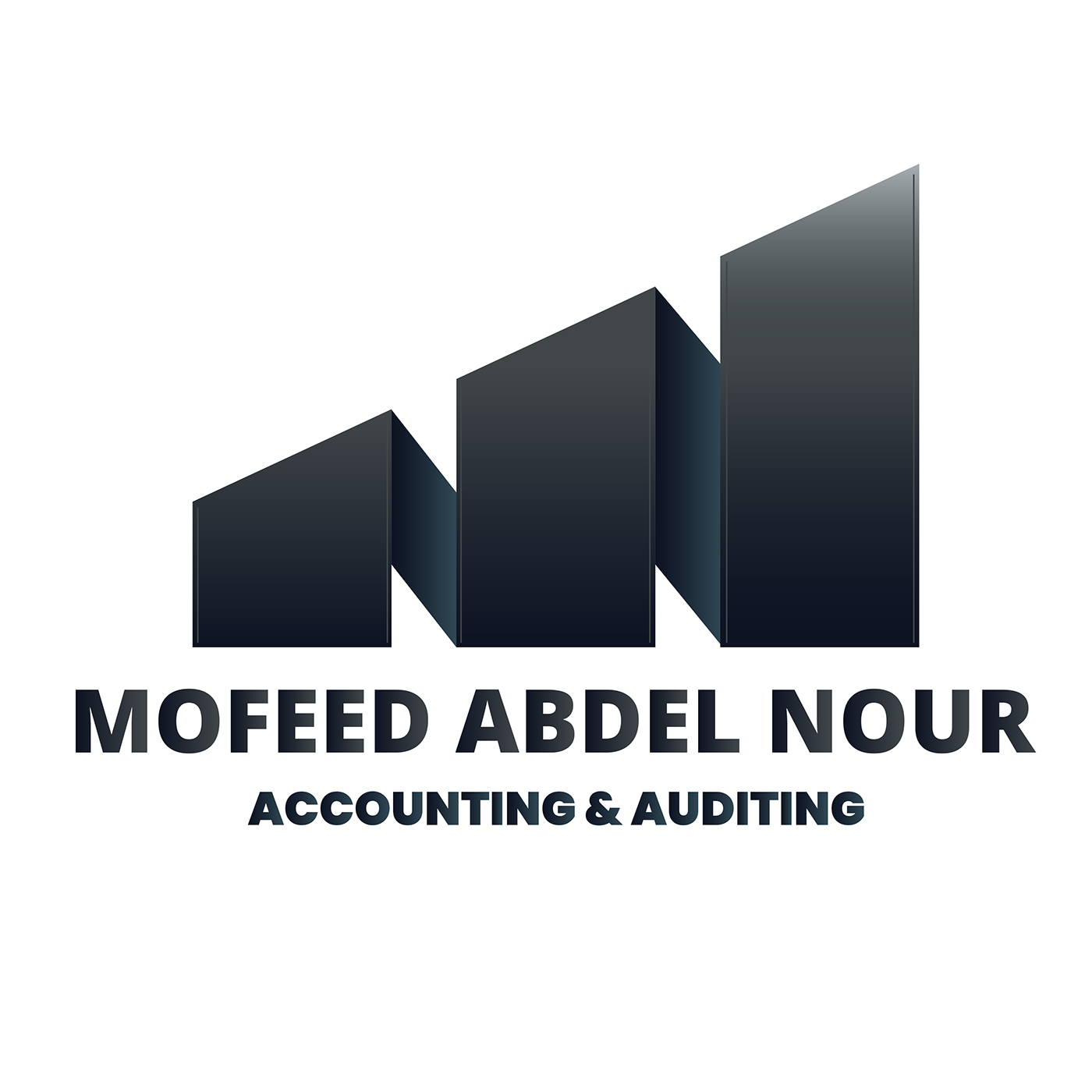 accounting Logo Design Auditing