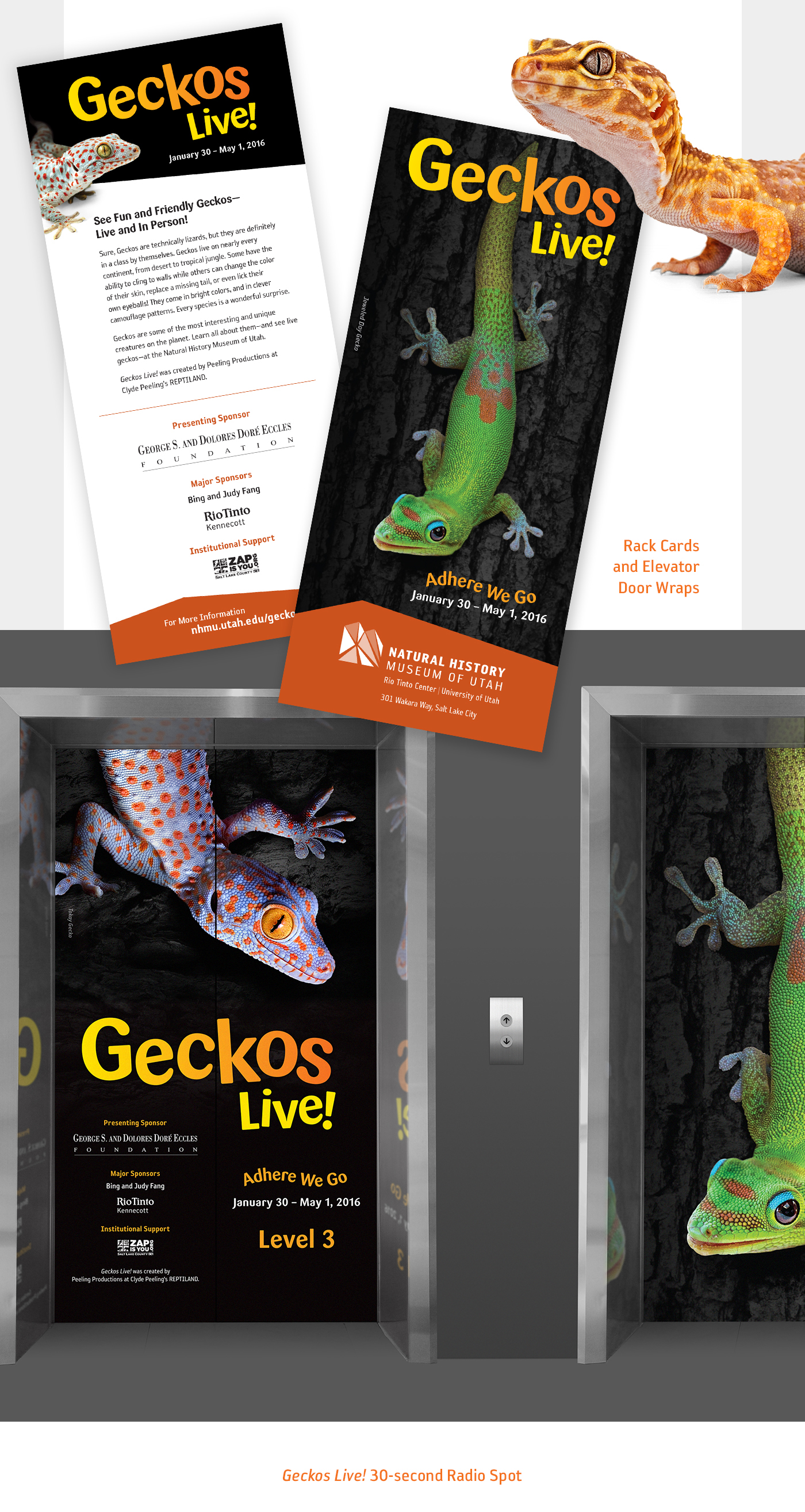 museum science utah Salt Lake City exhibit gecko Education
