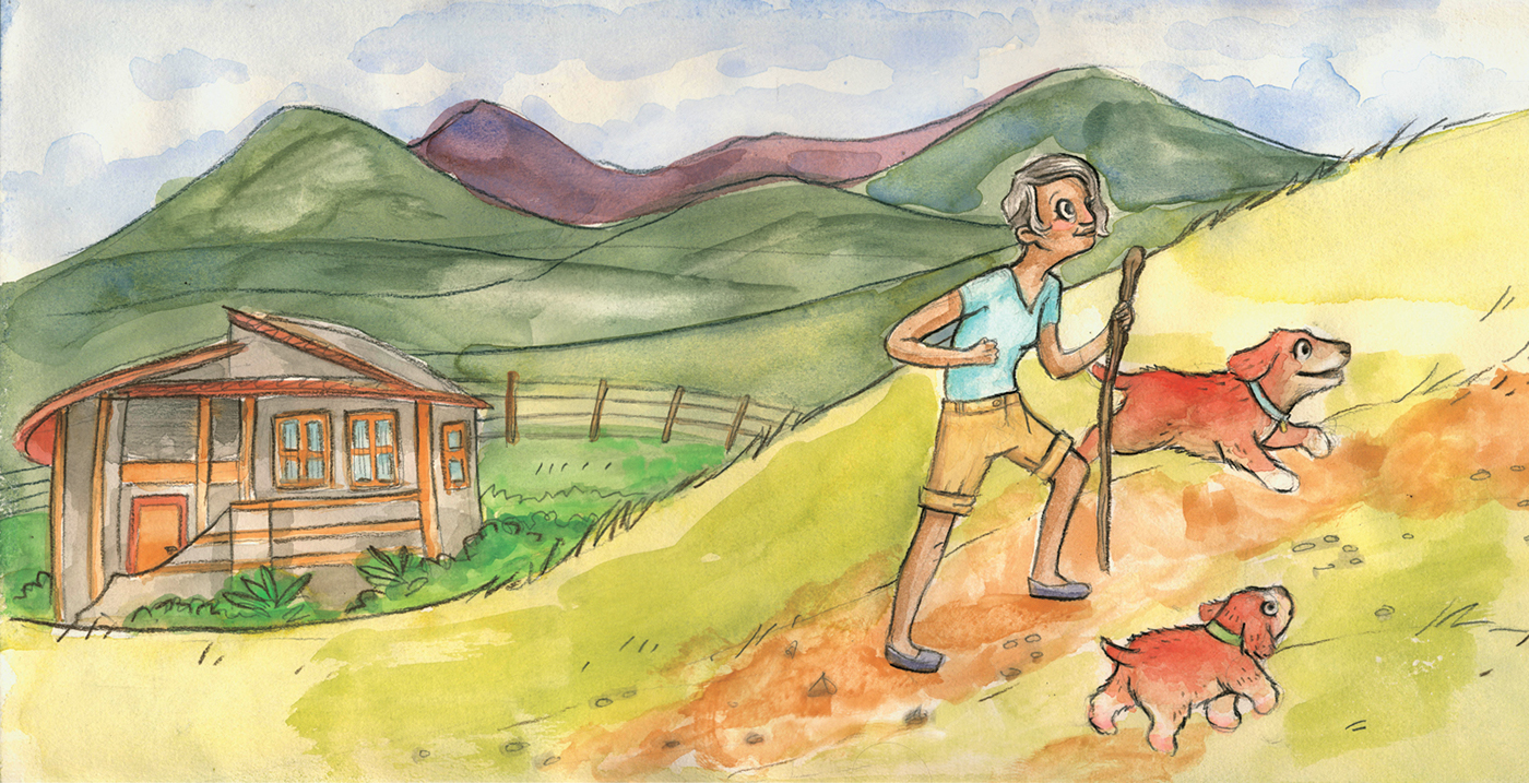watercolor watercolour children's book kid lit dogs Irish Setter Swaziland helen webster