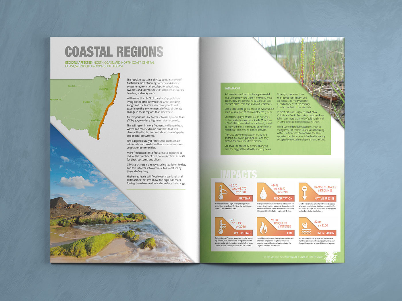 print report infographics visualisation Data Viz non-profit NGO environment climate change Nature