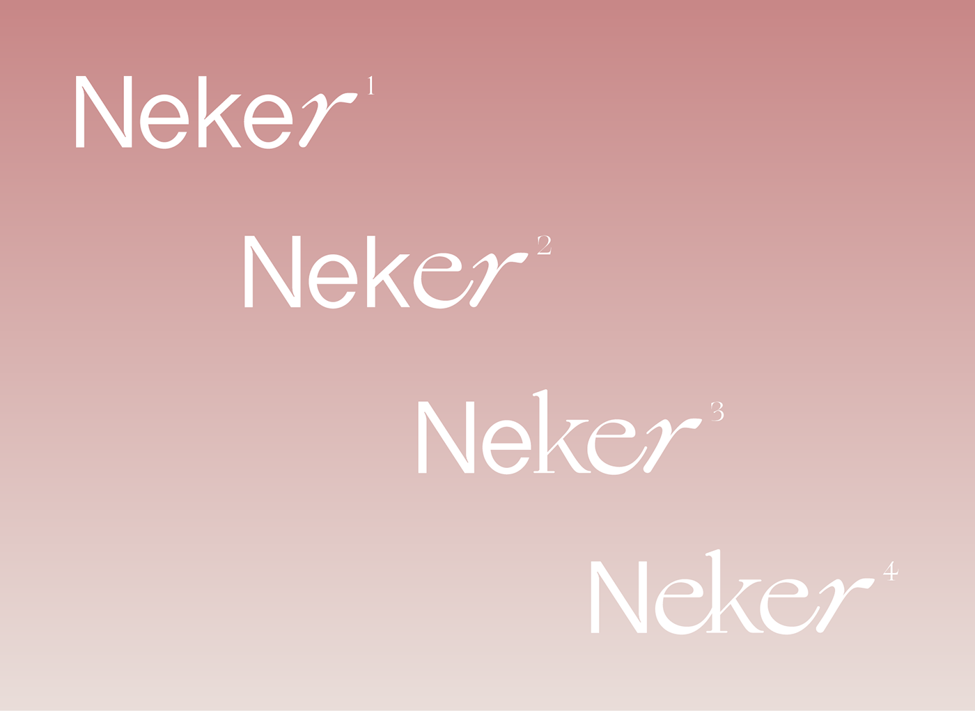 beauty Cosmetic brand identity branding  color identity Color-pool Cosmetic Brand NEKER Packaging